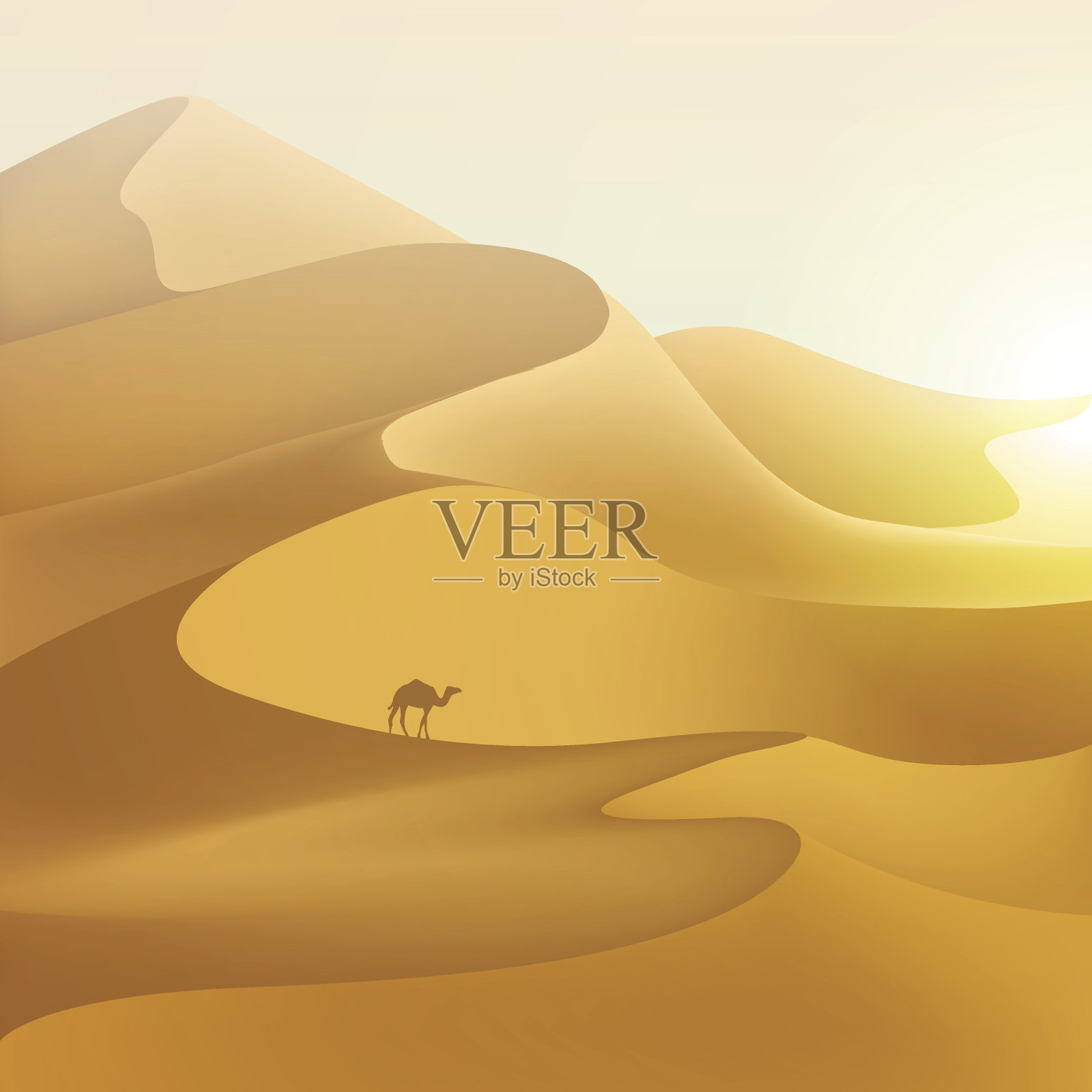 沙漠沙丘景观。插画图片素材