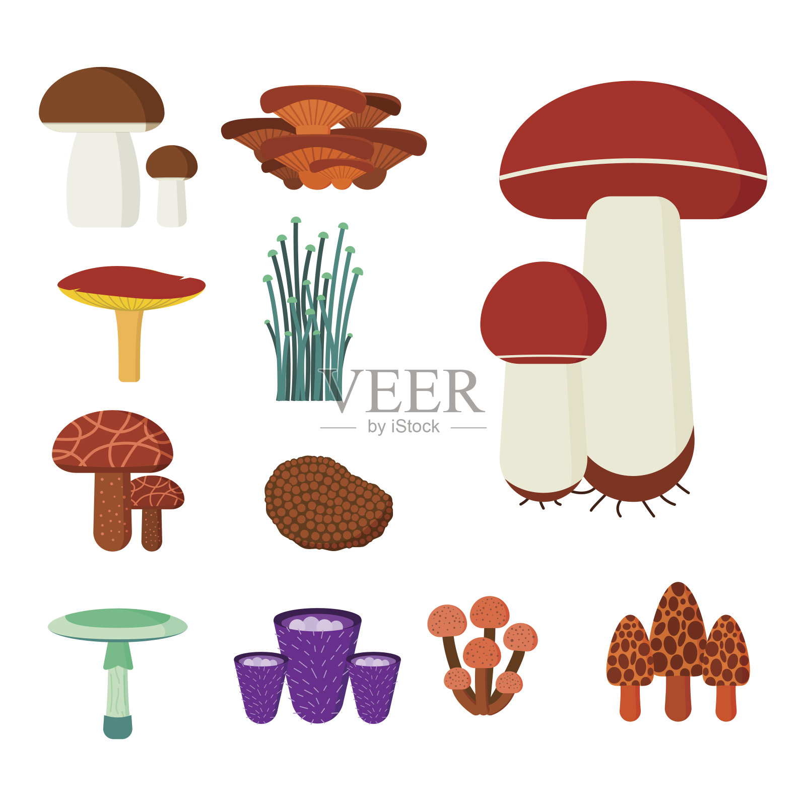 蘑菇为烹调食品和有毒的自然膳食素食健康的秋天食用和真菌有机蔬菜原料矢量插图设计元素图片