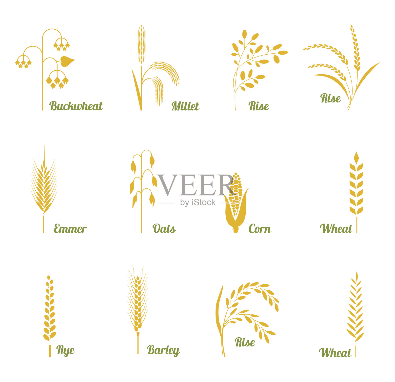 图标设置的谷物大米，小麦，玉米，燕麦，黑麦，大麦，荞麦。设计元素图片