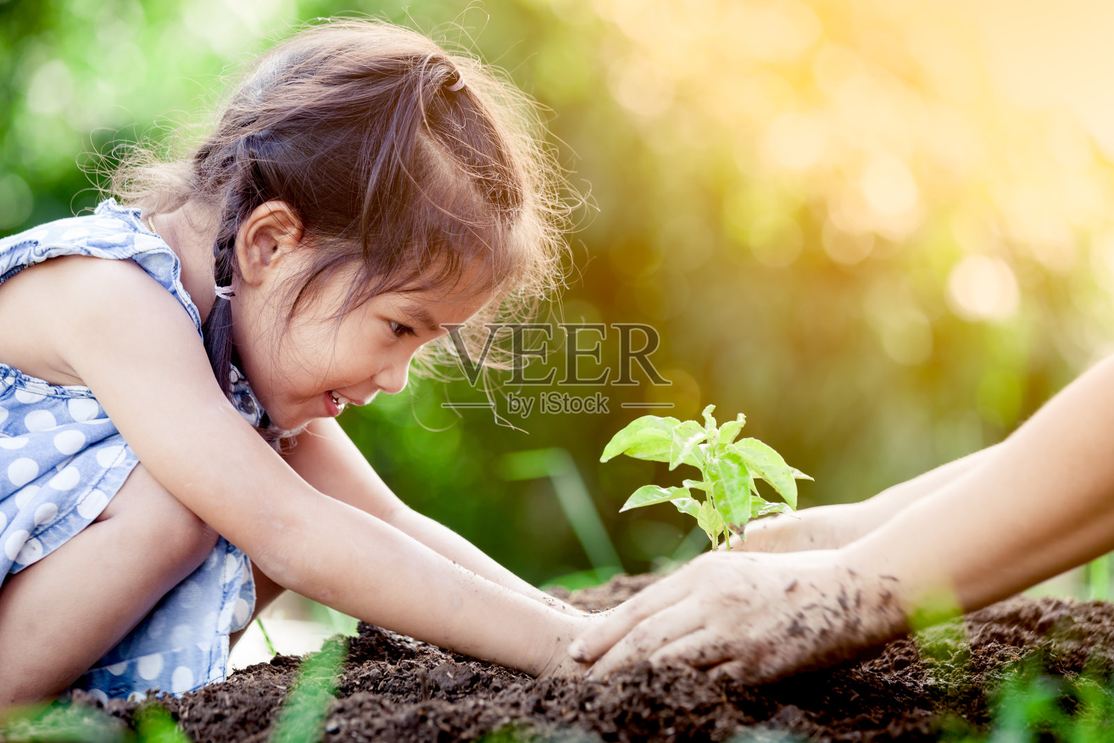 亚洲小女孩和父母一起在黑土上种植幼树照片摄影图片