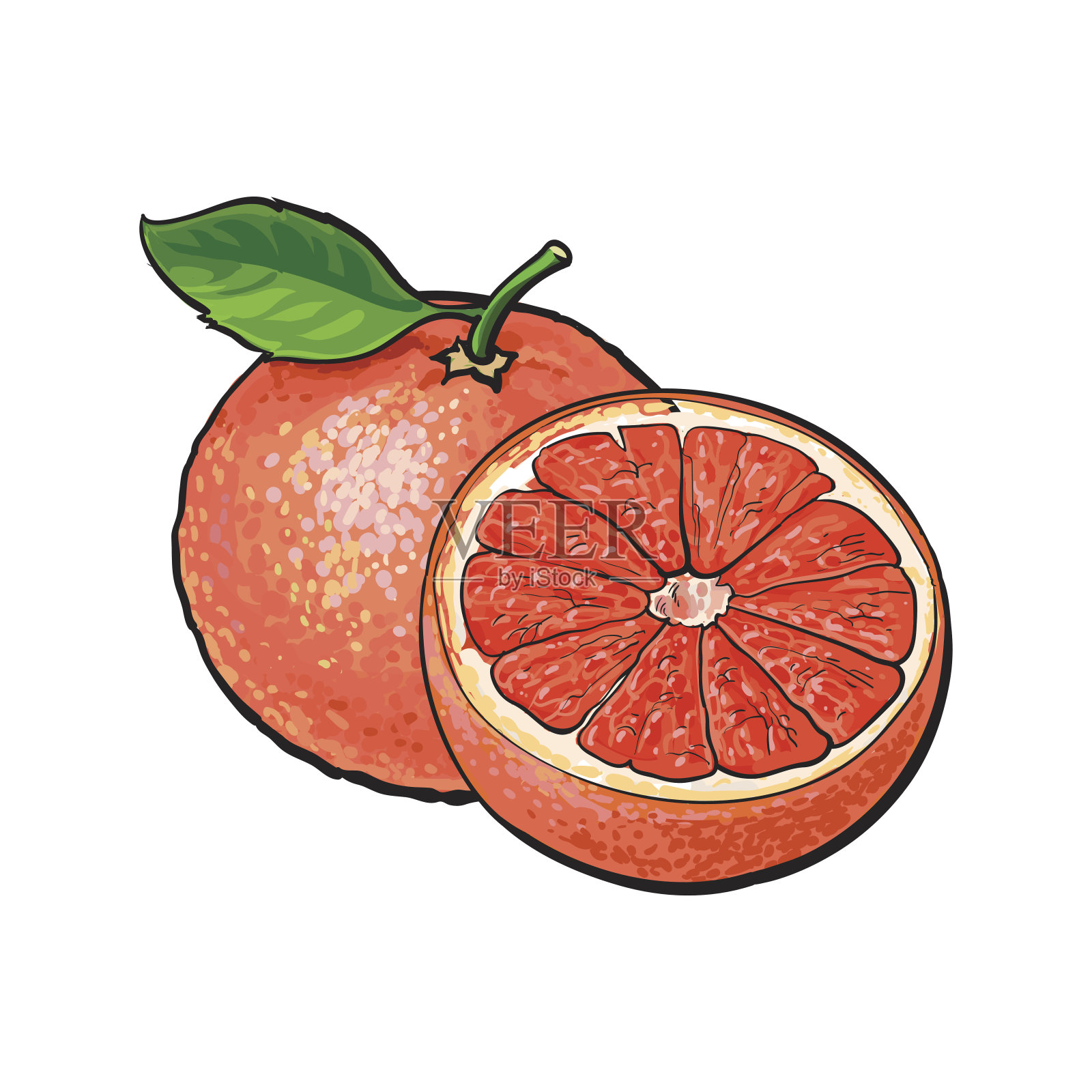 完整和半未剥皮的成熟粉红葡萄柚，矢量图示设计元素图片
