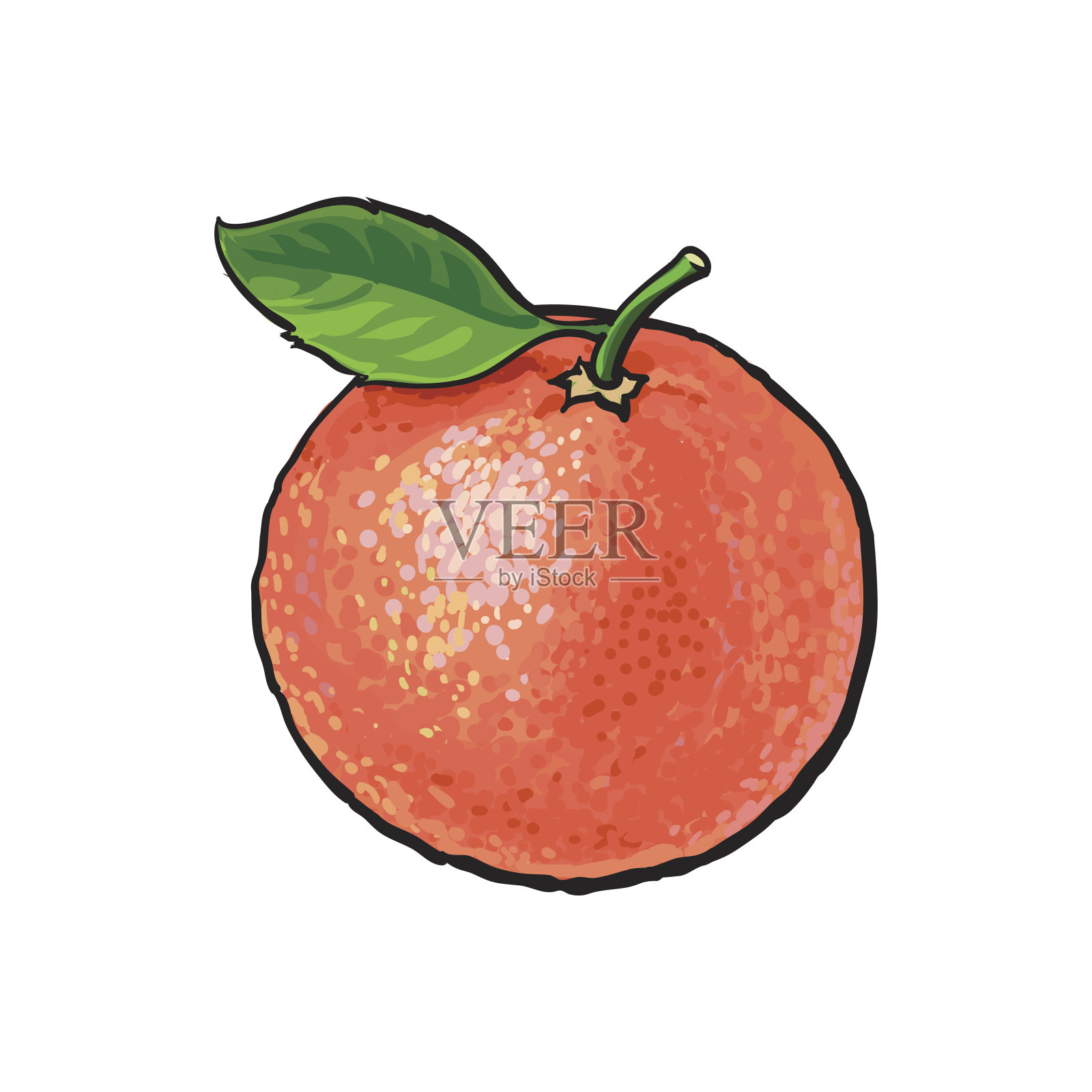 整个闪亮的成熟的粉红色葡萄柚，红橙色带叶子设计元素图片