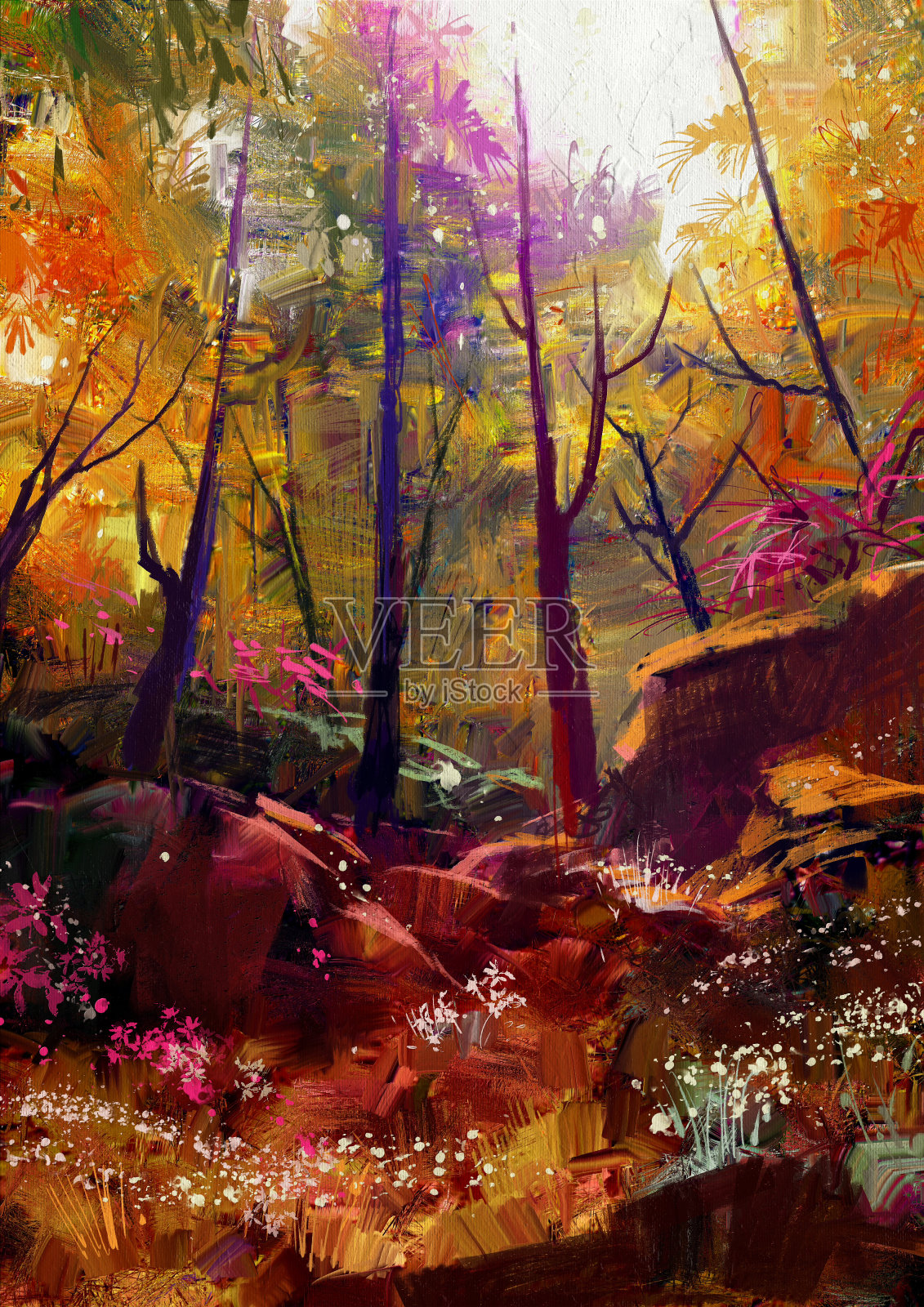 美丽的秋日森林与阳光插画图片素材