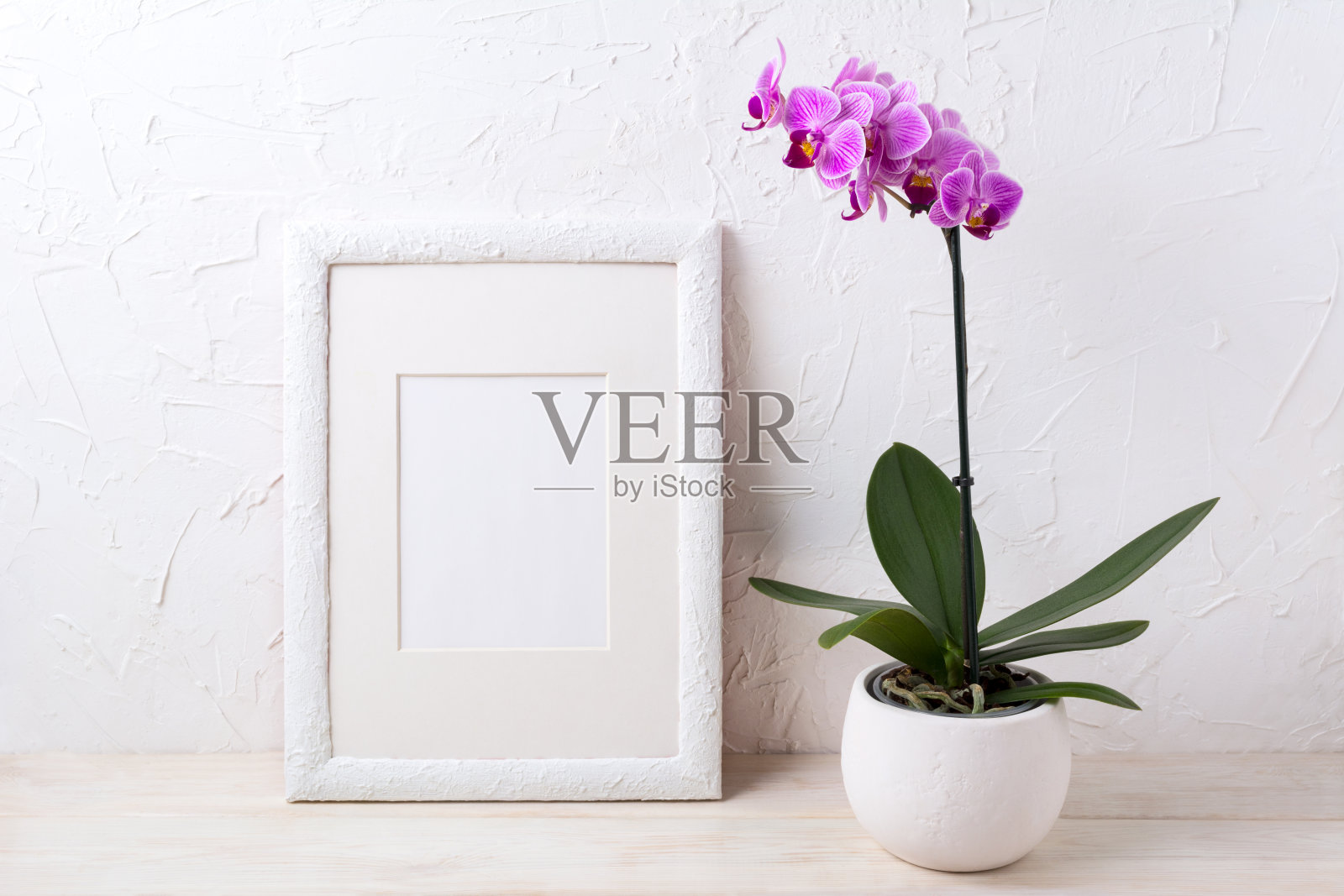 白色框架模型与紫色兰花在花盆照片摄影图片