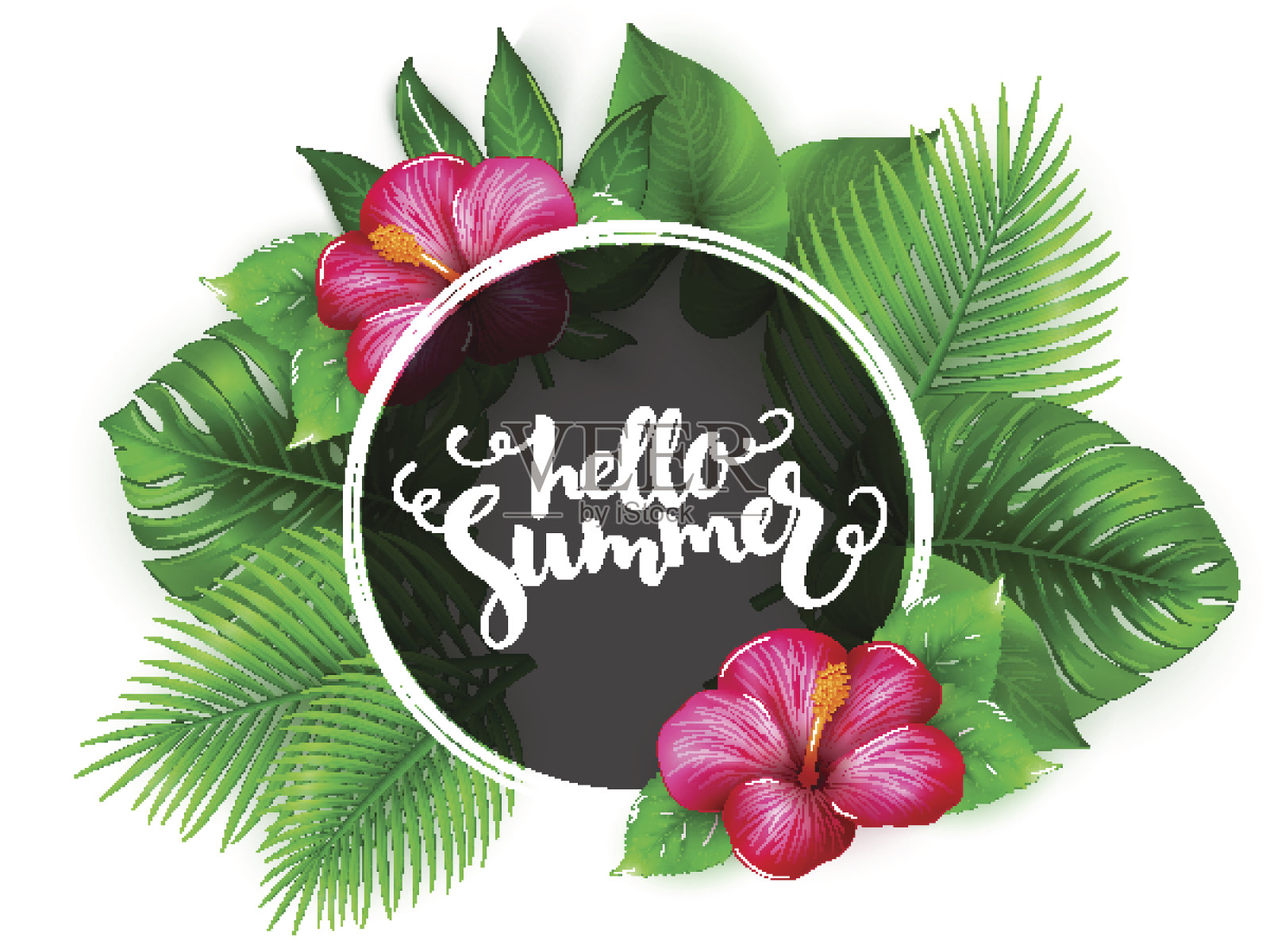 矢量插图的手写字体-你好夏天-与圆圈的背景芙蓉花和热带树叶-怪兽，棕榈，楤木插画图片素材