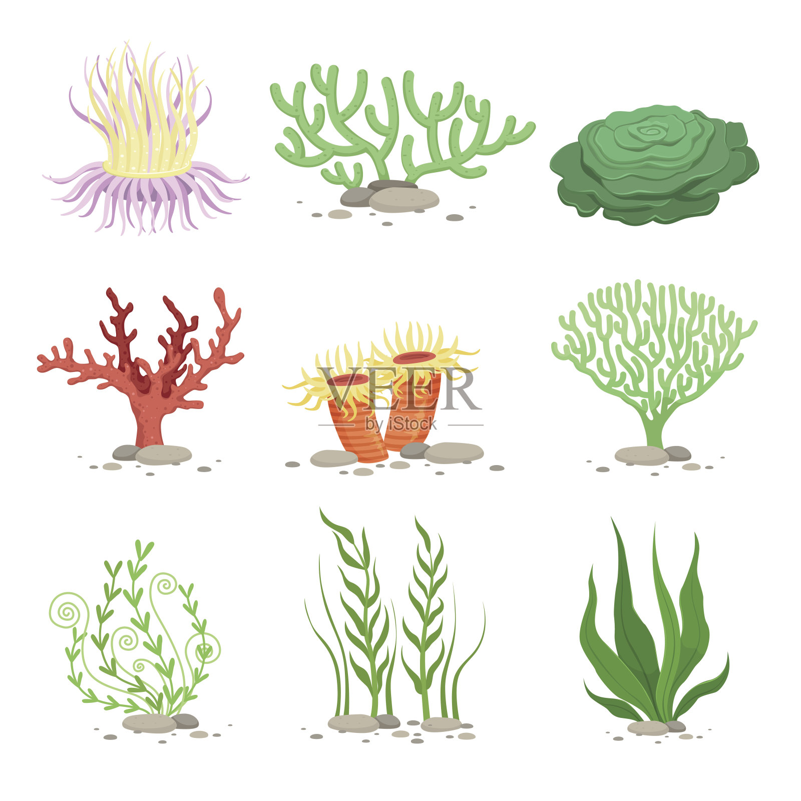 水下植物向量集。有趣的插图卡通风格孤立在白色插画图片素材