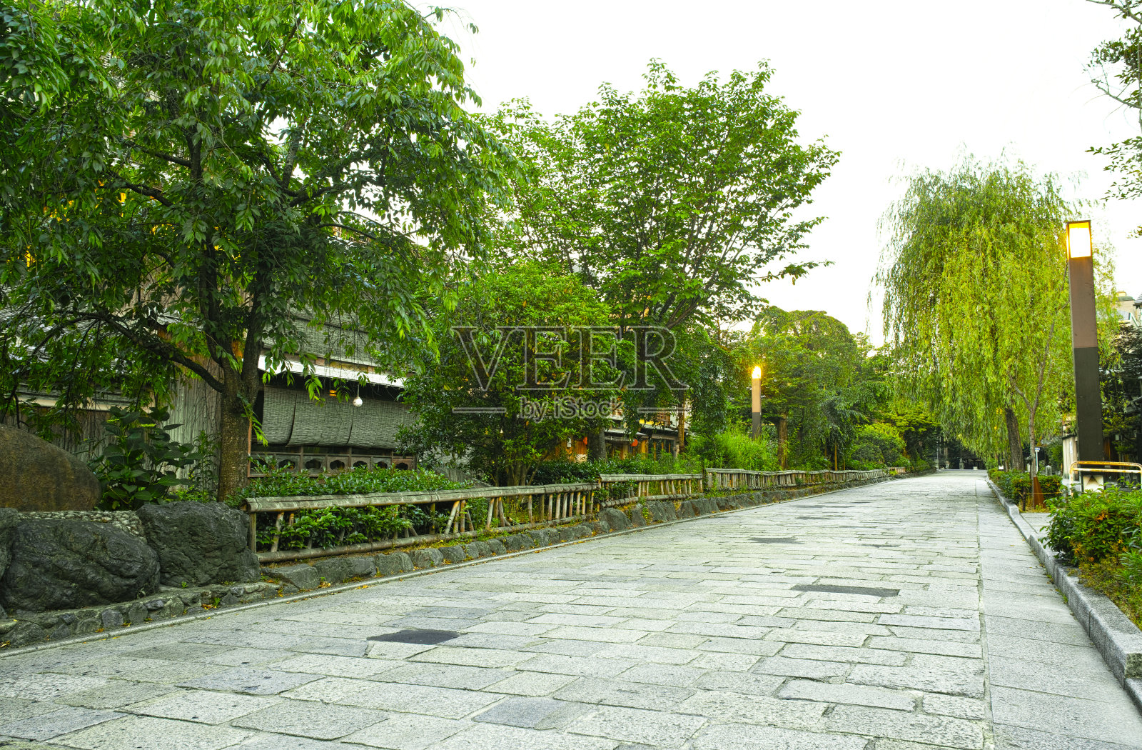 京都园的白川民庵和柳树照片摄影图片