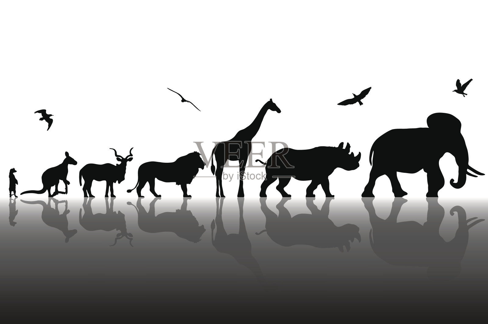 野生动物的剪影与反射背景。矢量图插画图片素材