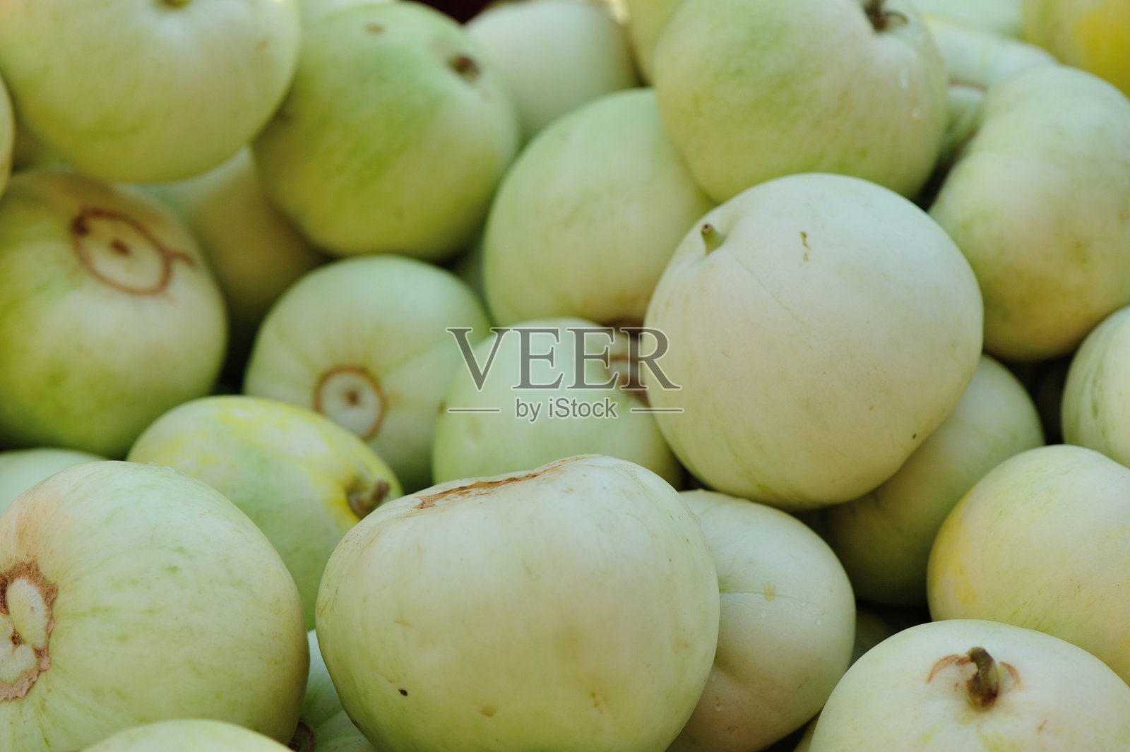 农贸市场上的蜜瓜照片摄影图片