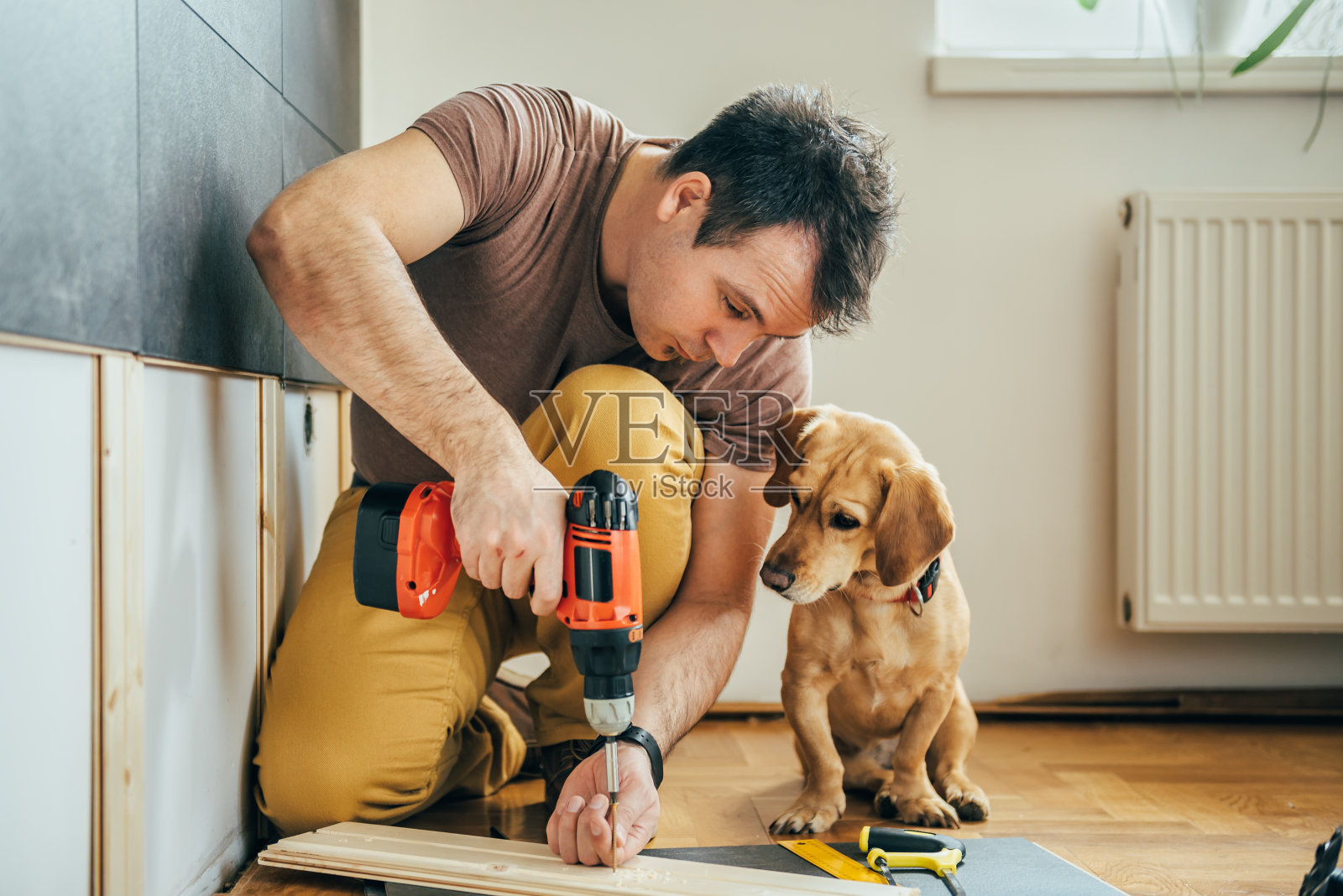 男人和他的狗在家里做装修工作照片摄影图片