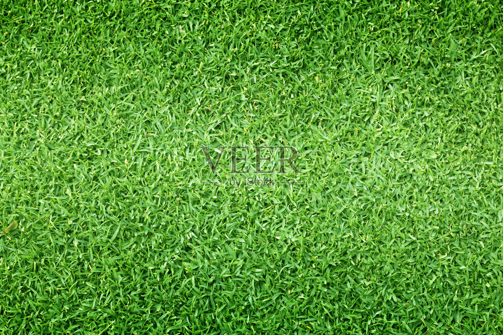 草地背景高尔夫球场绿色草坪格局设计元素图片