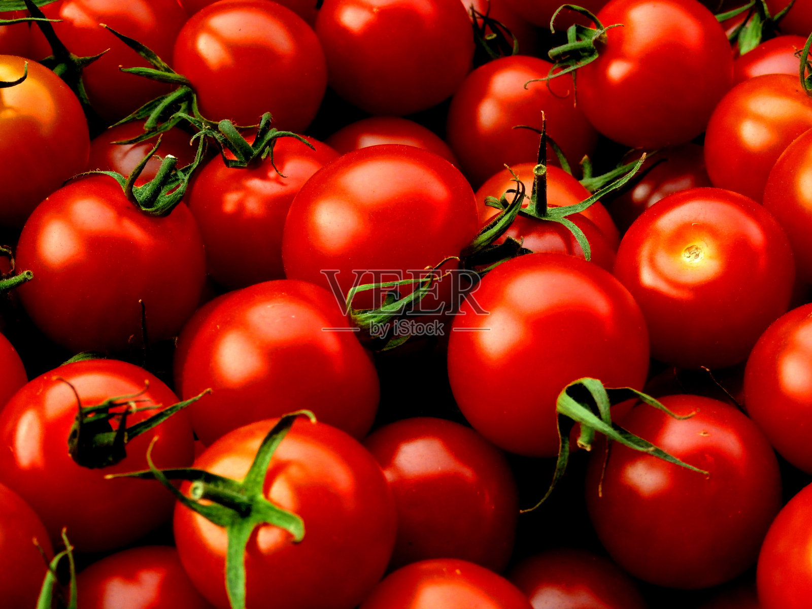 新鲜多汁的西红柿照片摄影图片