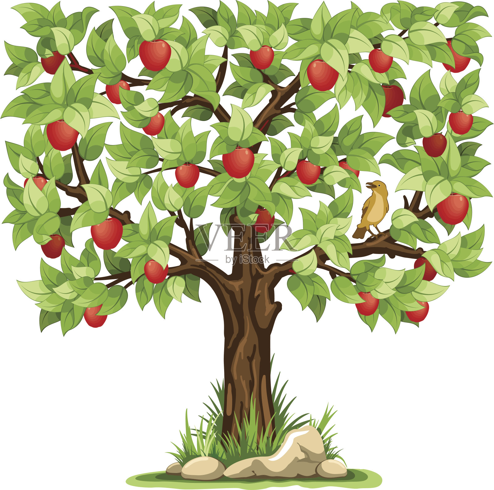 苹果树插画图片素材