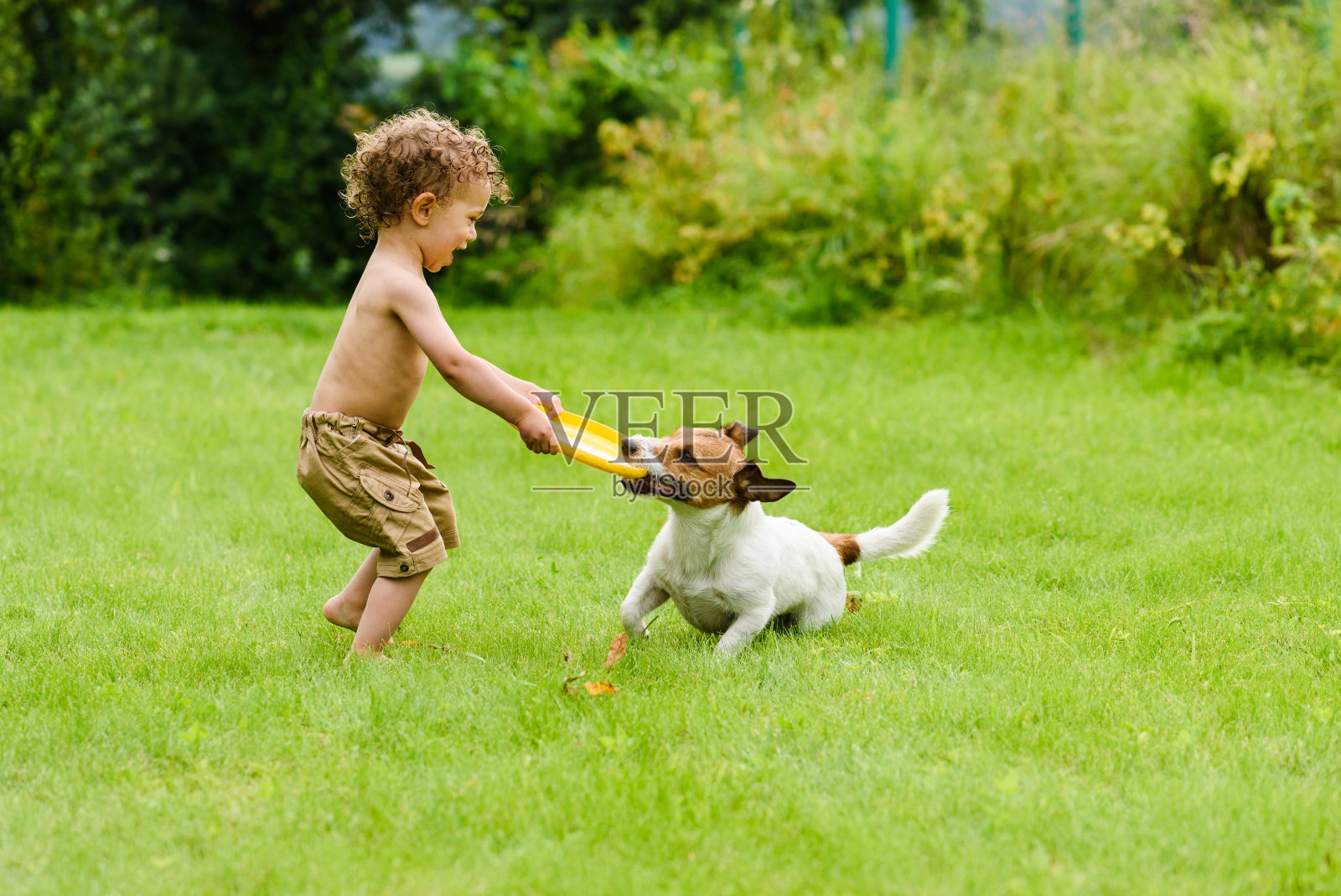 快乐的男孩在草坪上玩狗活动游戏照片摄影图片