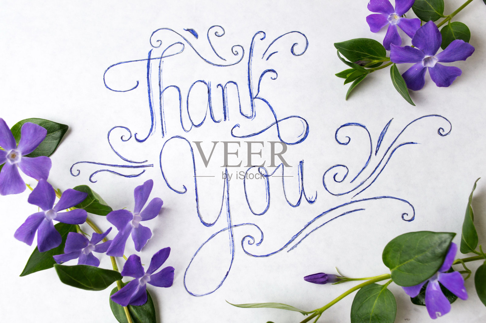感谢函被紫色的花包围着照片摄影图片