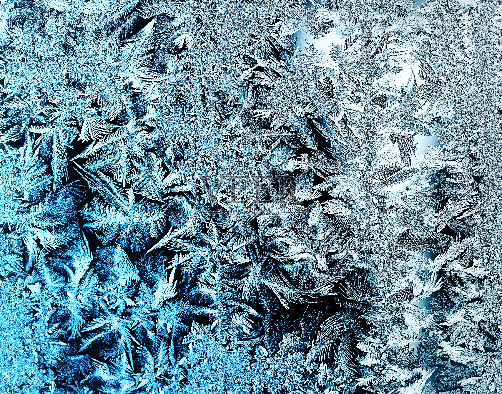 美丽的霜冻图案与漩涡和羽毛在冷玻璃上照片摄影图片