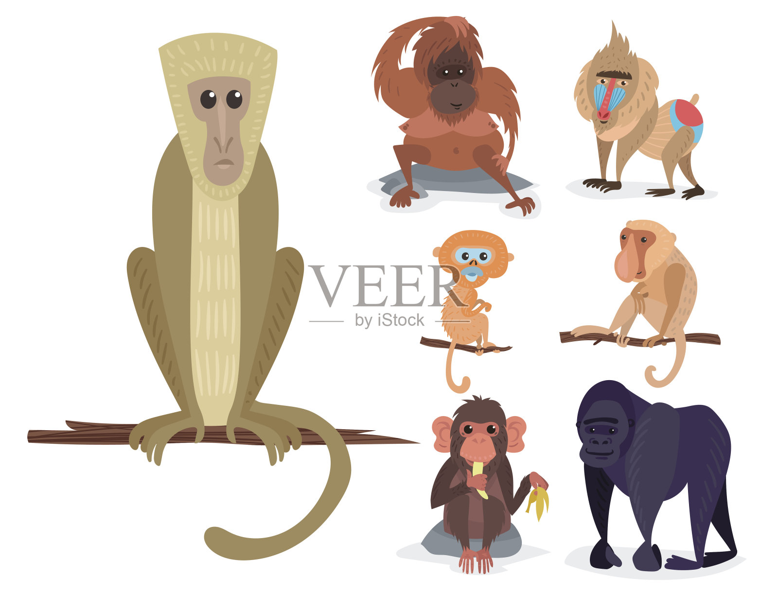 不同的面包猴子性格动物野生动物园猿黑猩猩矢量插图插画图片素材