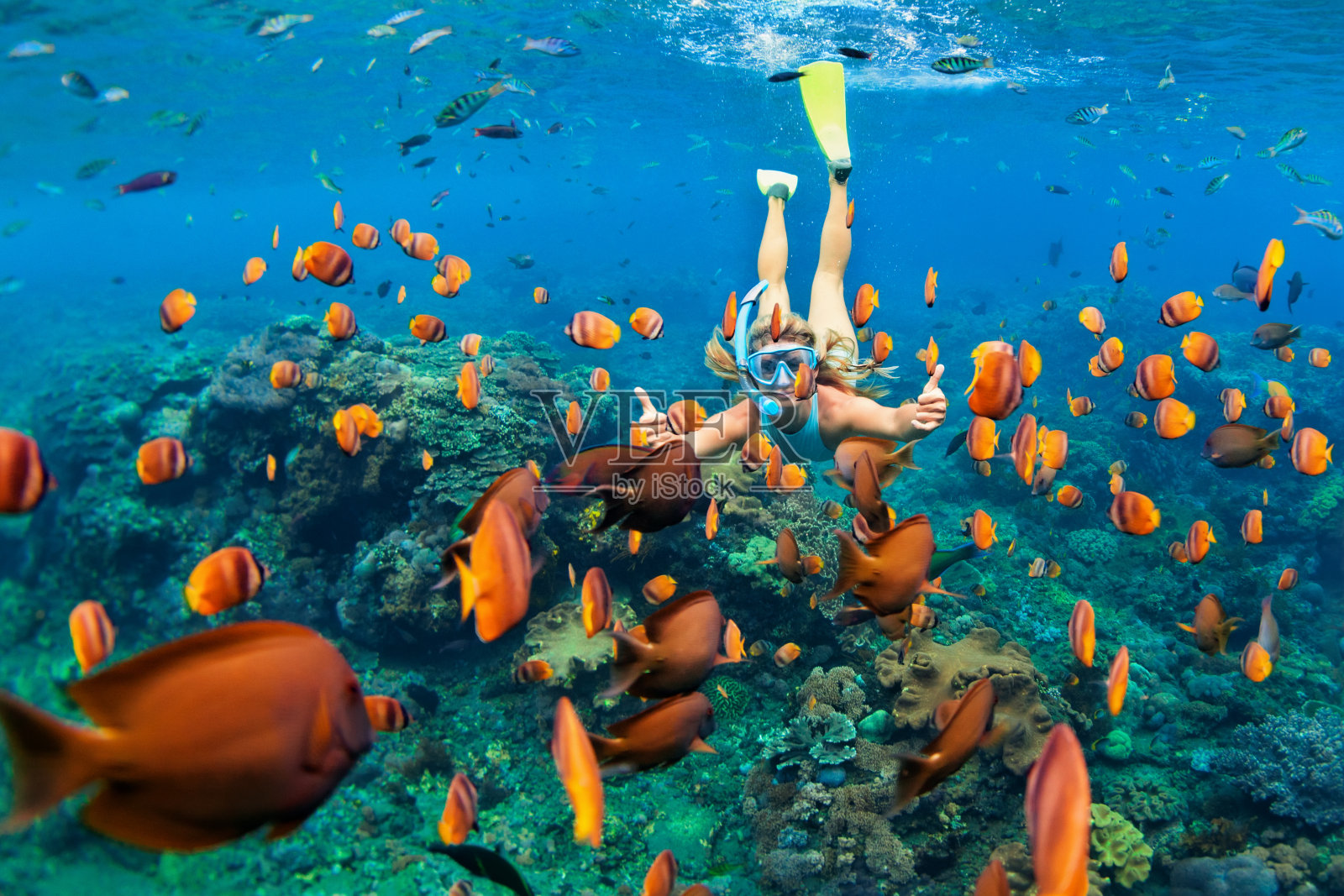 戴着浮潜面罩的女孩和珊瑚礁里的鱼一起潜水照片摄影图片