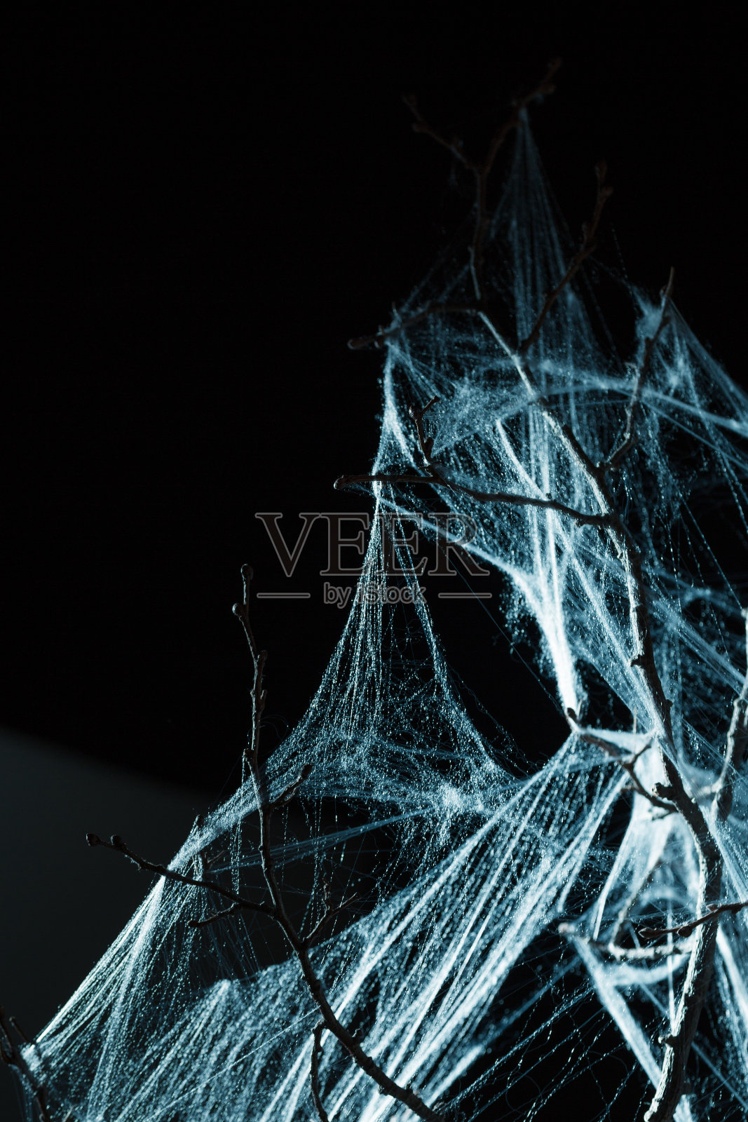 抽象的蜘蛛网在黑色照片摄影图片