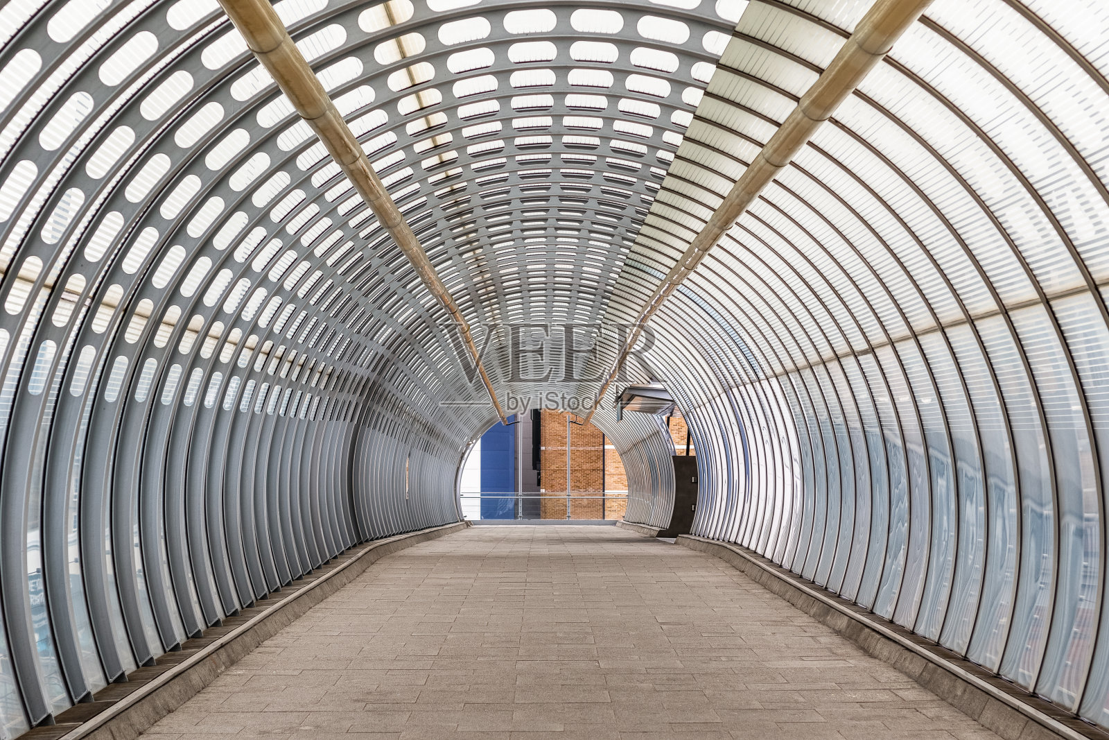 伦敦杨树行人隧道人行桥照片摄影图片