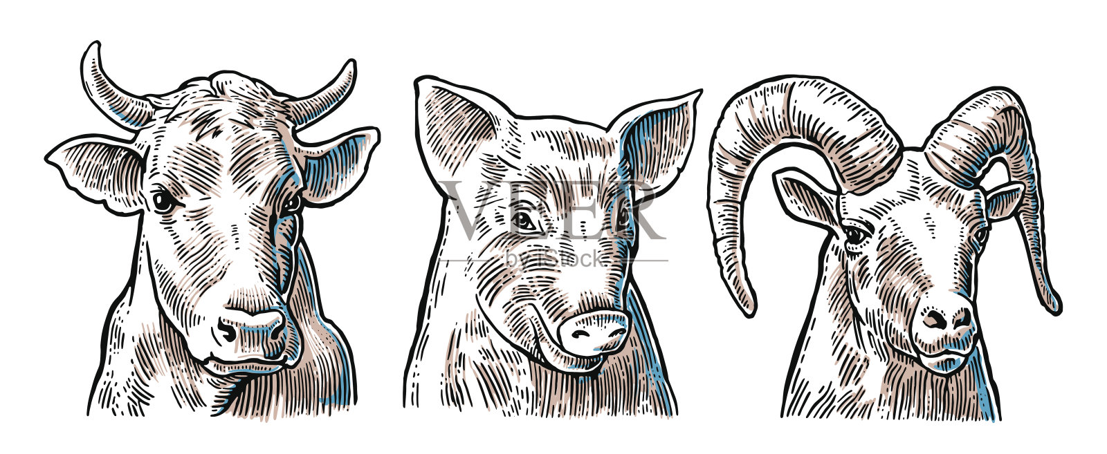 农场动物图标集。猪、牛、羊头隔离插画图片素材