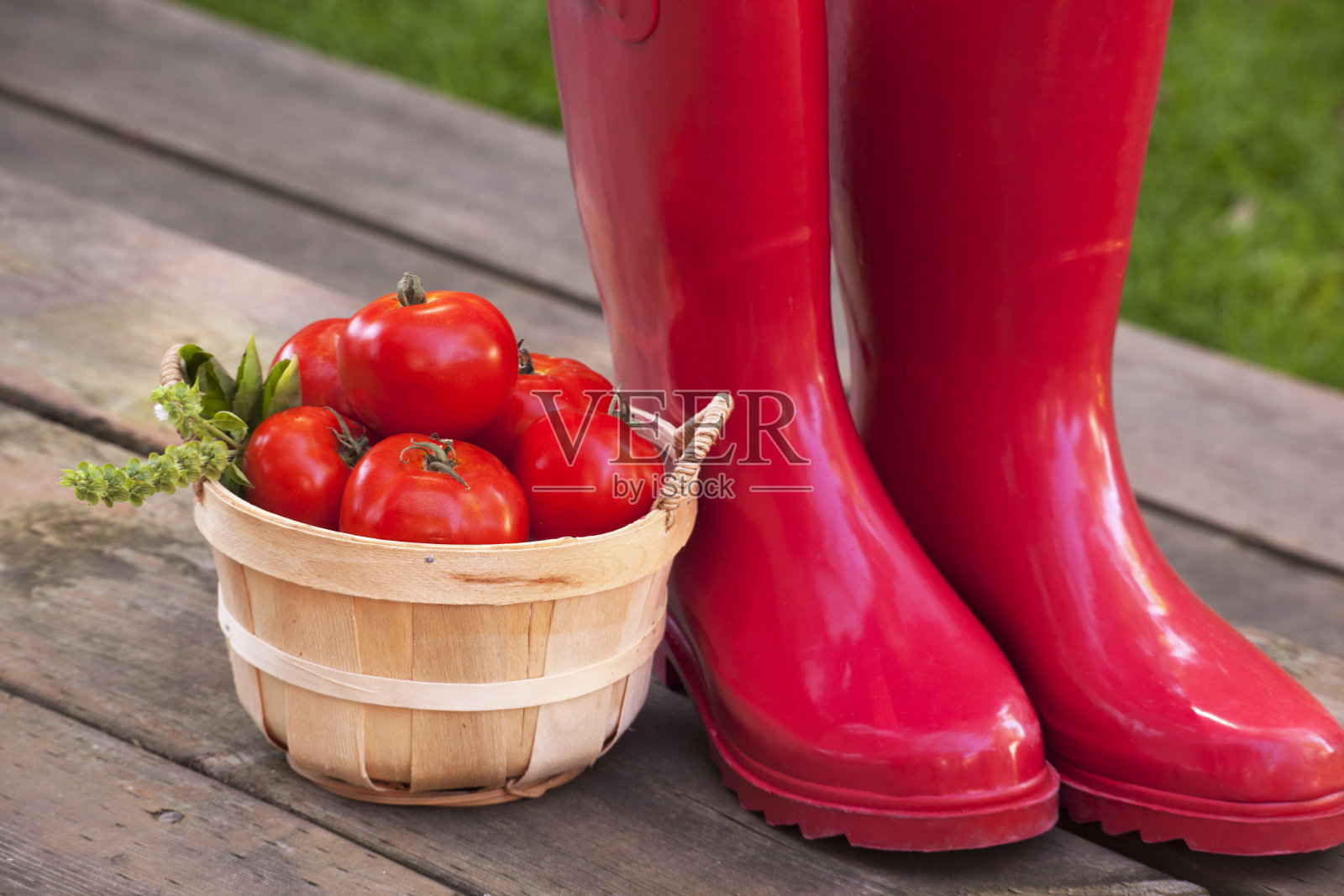 西红柿和红靴子照片摄影图片