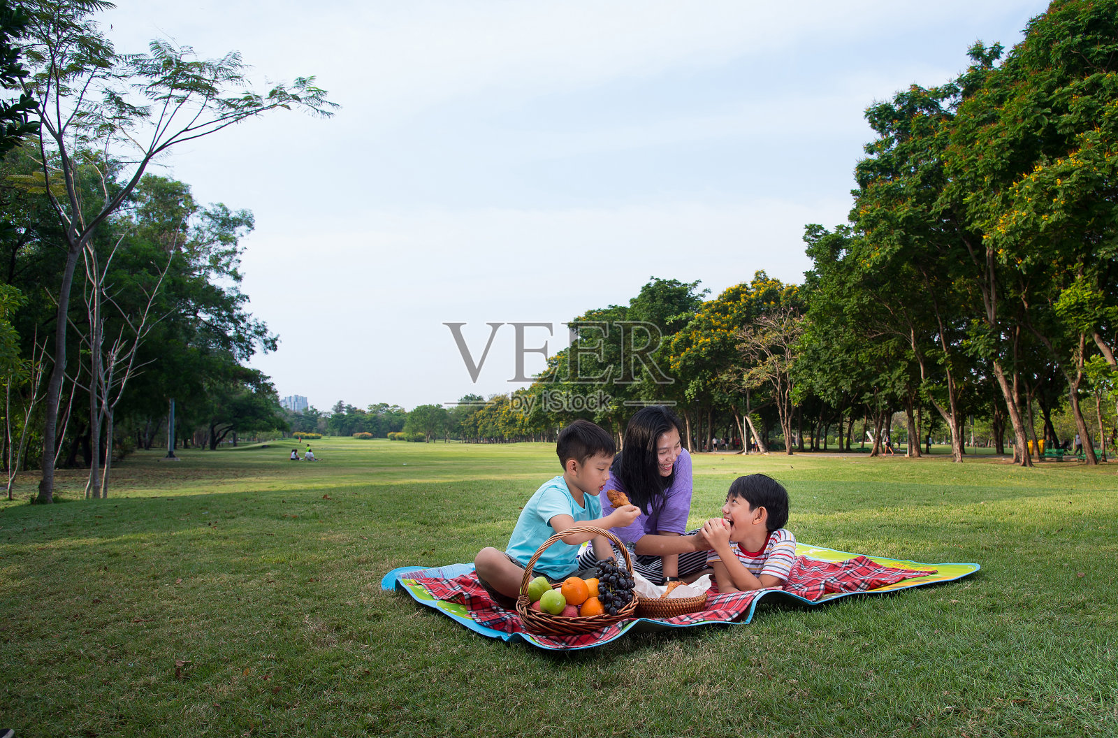 幸福的家庭野餐照片摄影图片