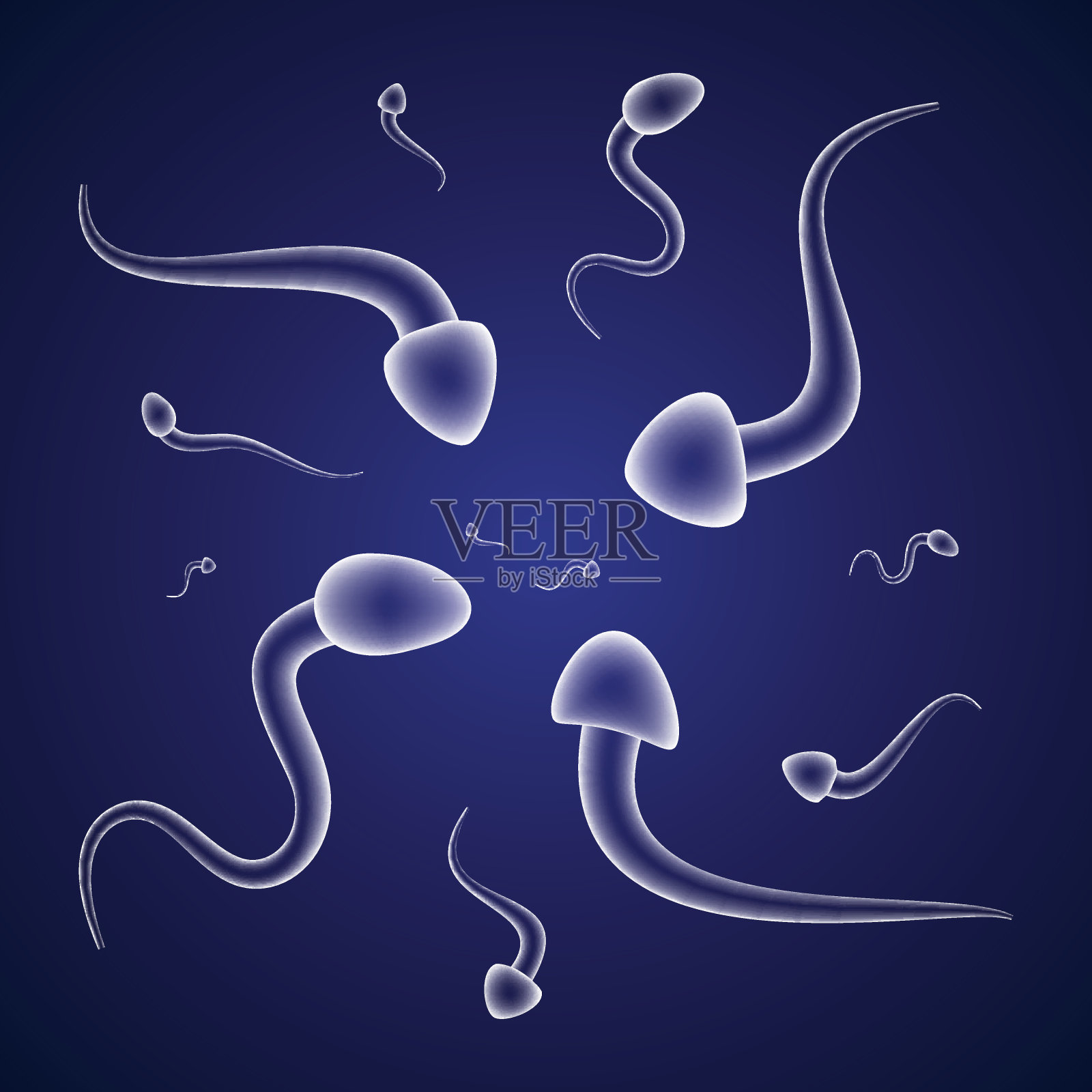 蓝色背景上的雄性精子插画图片素材