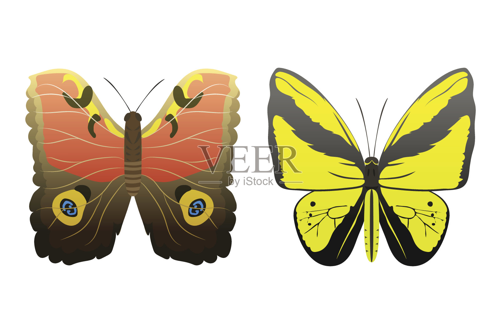 五颜六色的蝴蝶以抽象的花纹装饰，夏季自由飞翔，呈现出剪影和美丽大自然的春虫装饰。矢量图插画图片素材
