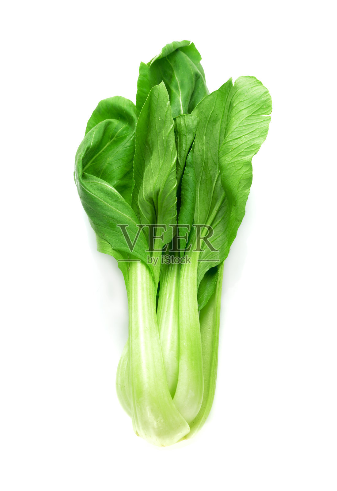 蔬菜绿色小白菜孤立在白色背景上照片摄影图片