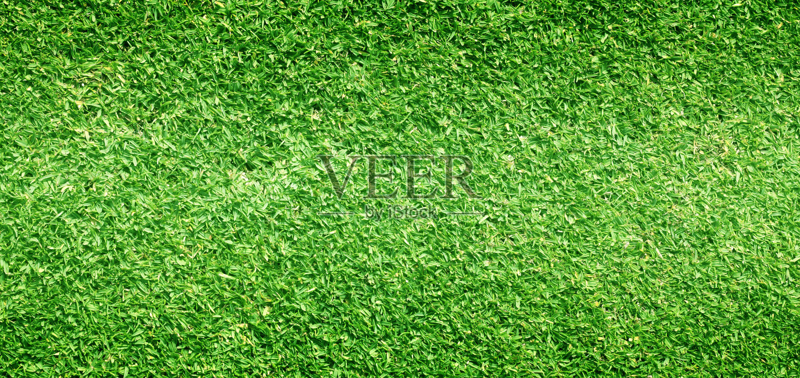 草地背景高尔夫球场绿色草坪设计元素图片