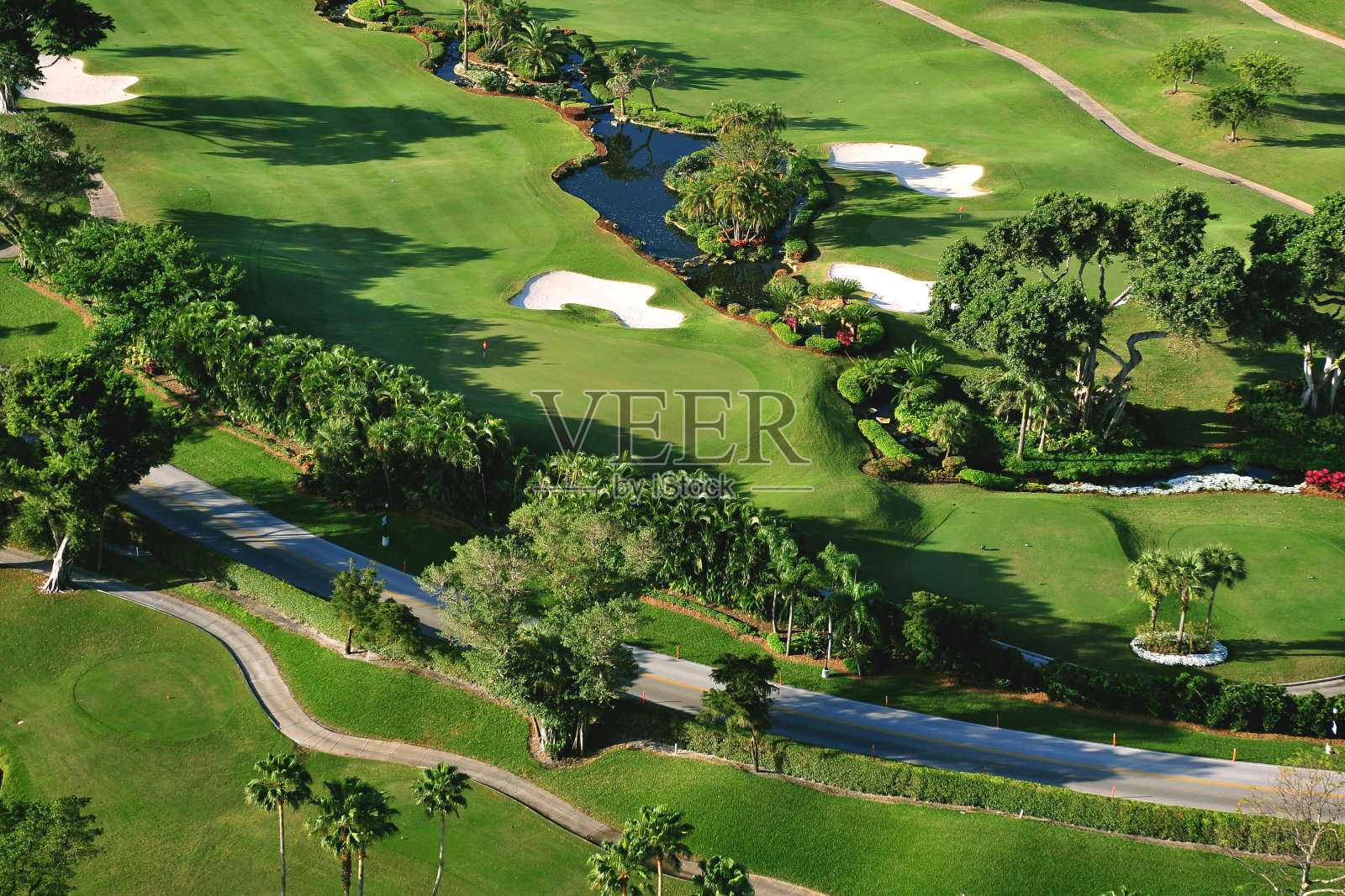 俯瞰豪华佛罗里达市政高尔夫球场照片摄影图片