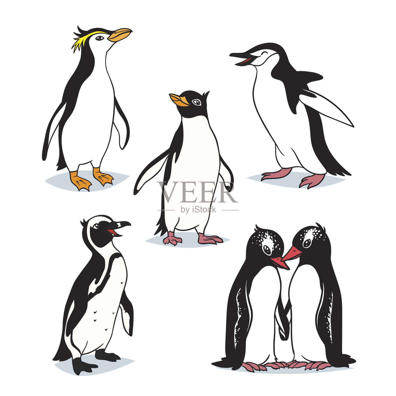 可爱的卡通企鹅的不同类型。插画图片素材