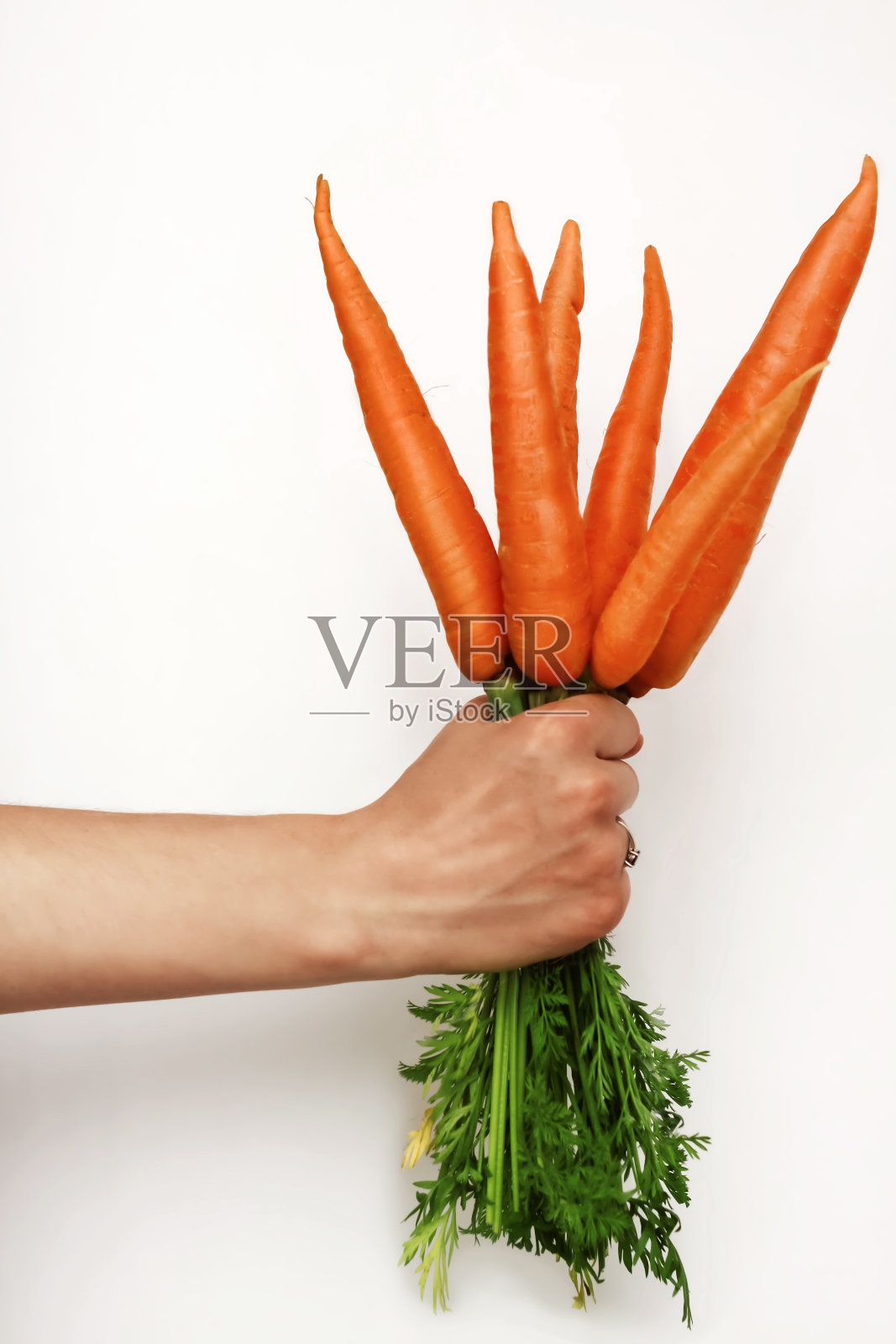 一个女人的手拿着一束在白色背景上的新鲜的橙色胡萝卜照片摄影图片