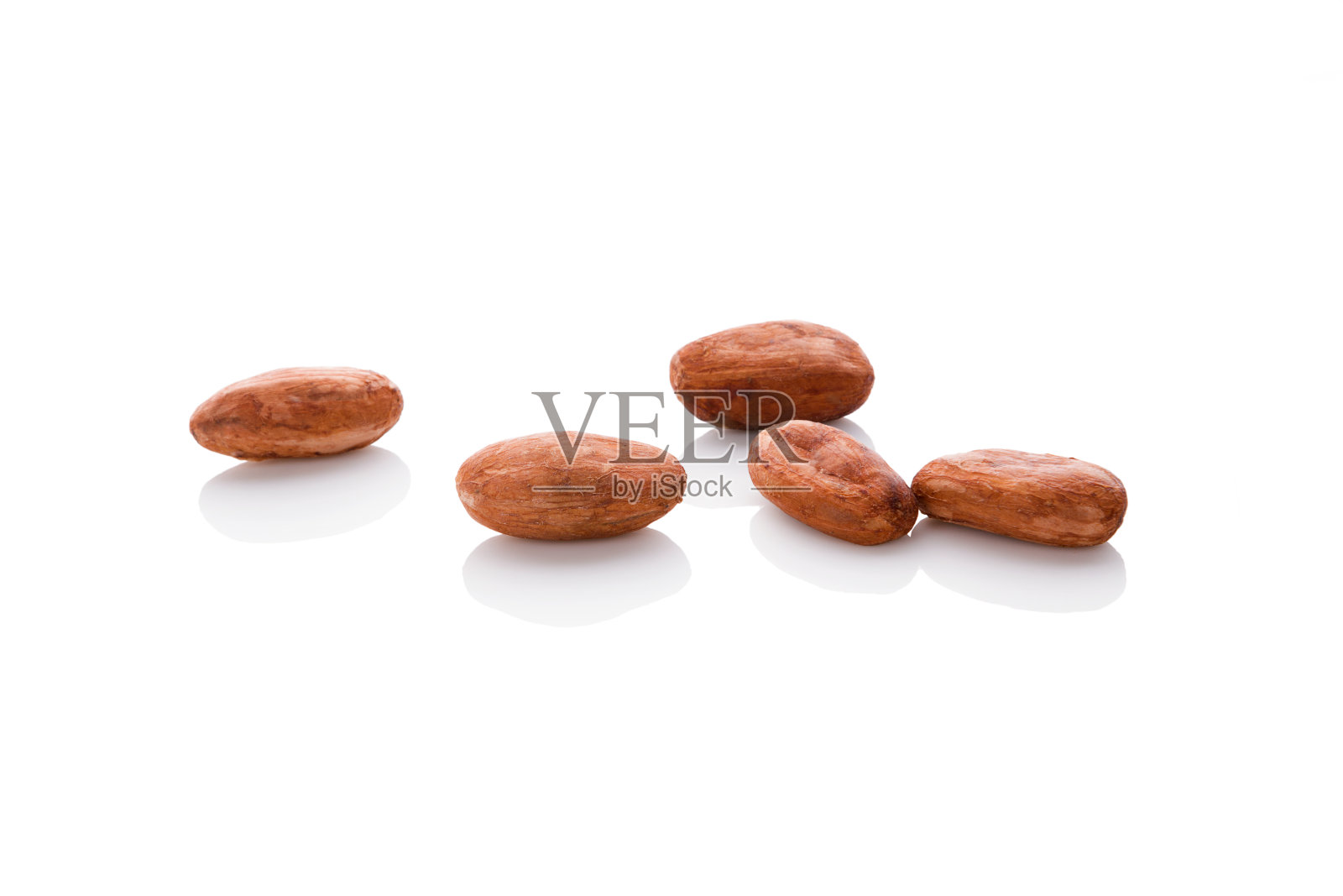 白色背景上分离的可可豆。照片摄影图片
