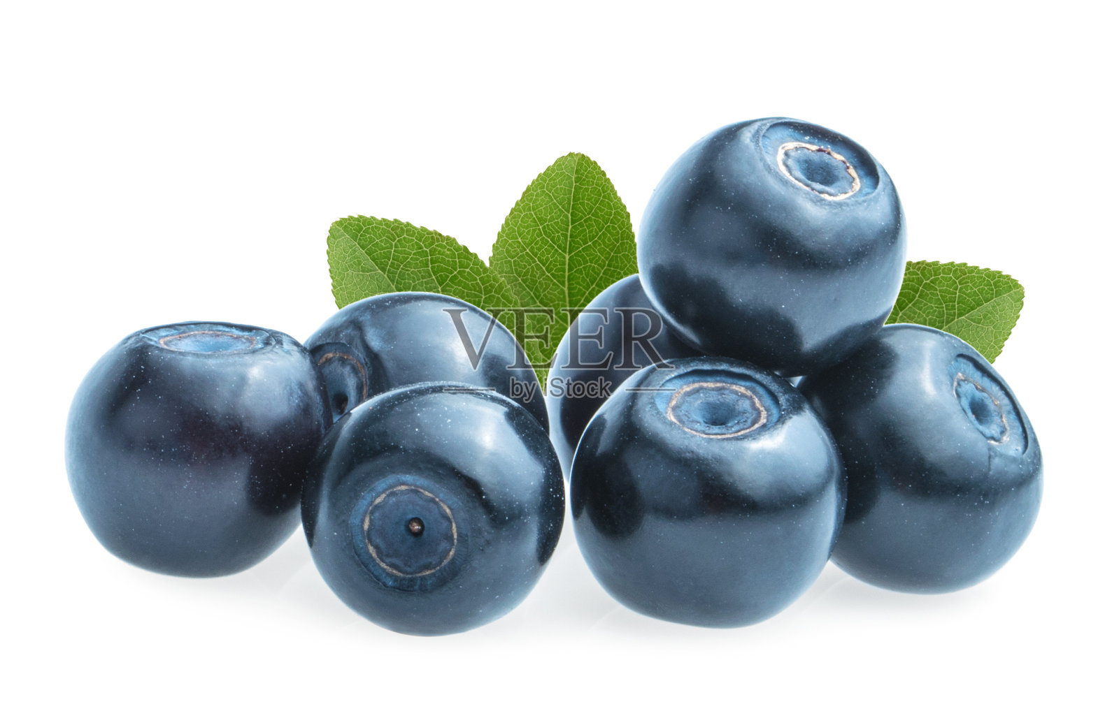 蓝莓(越桔)孤立在白色背景上照片摄影图片