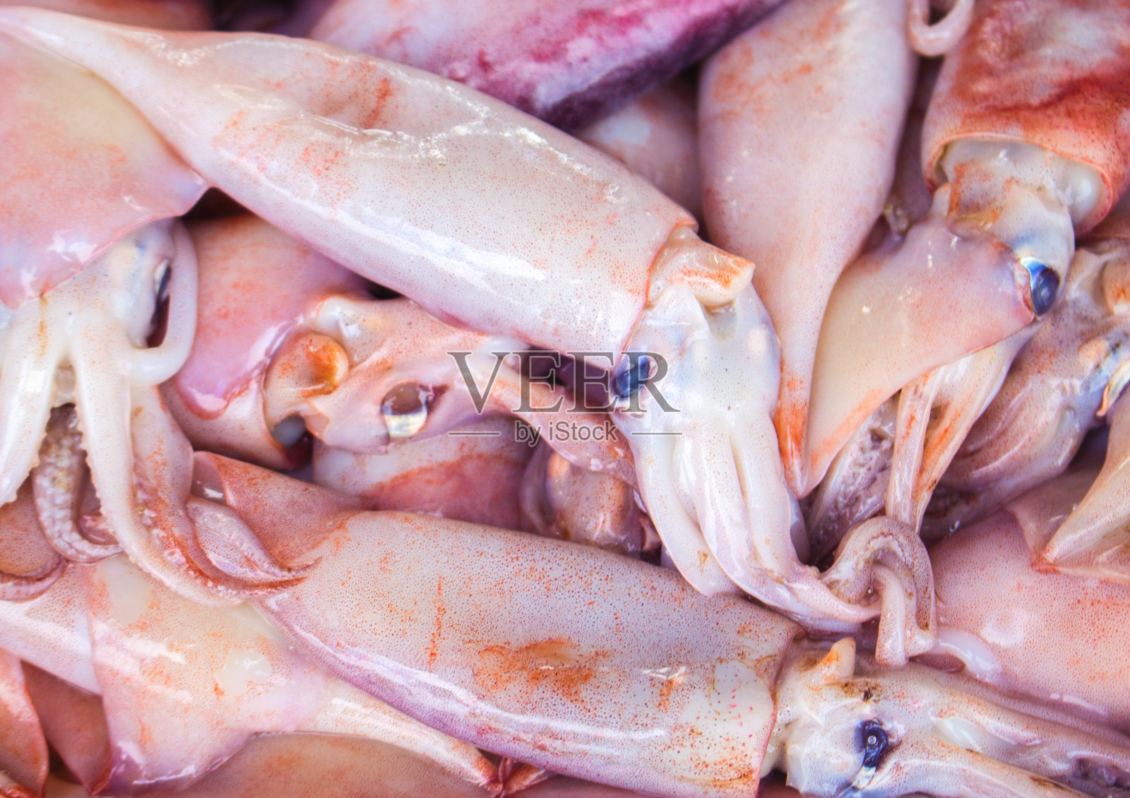 海鲜市场上的新鲜鱿鱼。海上捕鱼的美味和健康的饮食。照片摄影图片