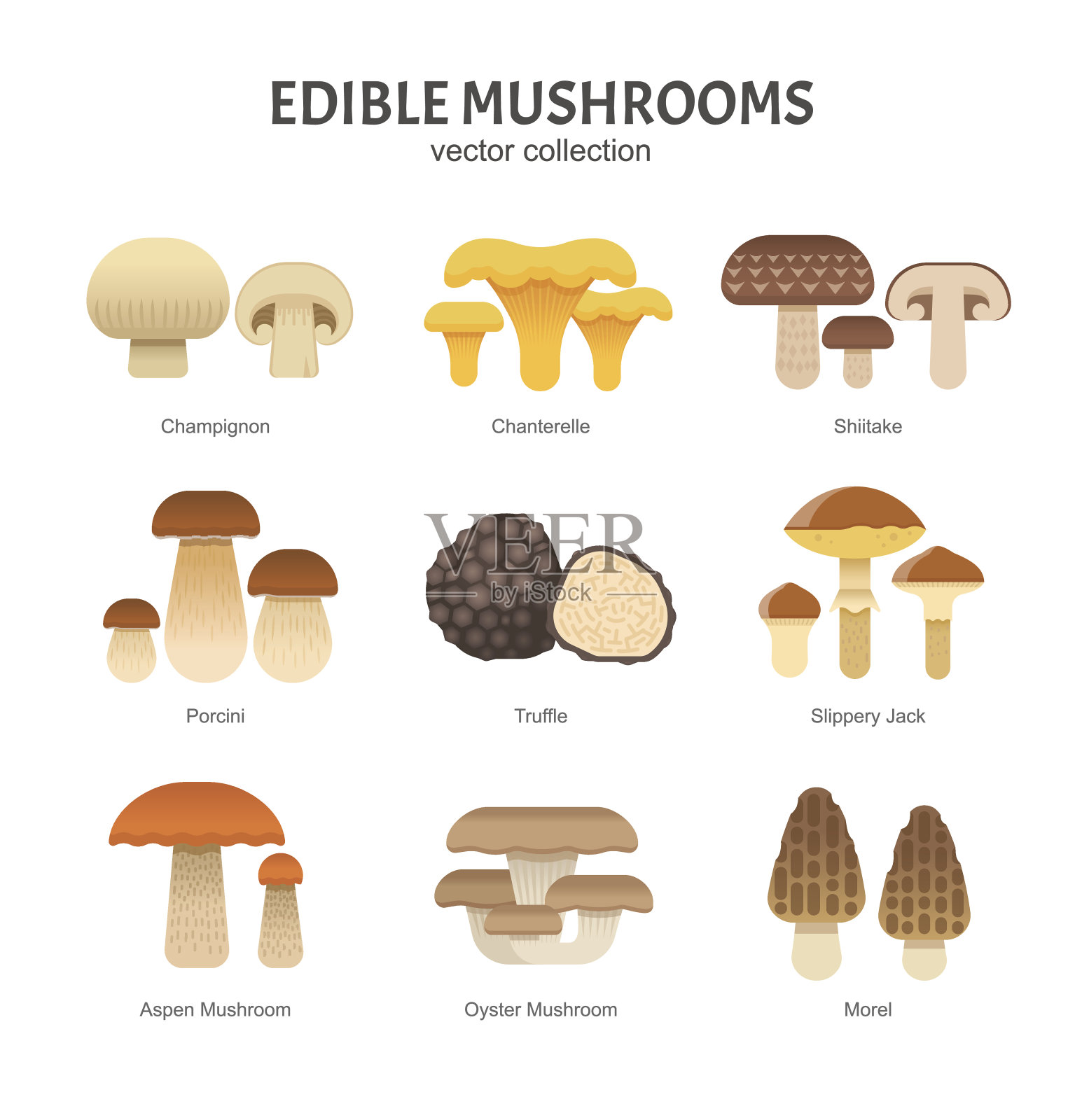 食用蘑菇。设计元素图片