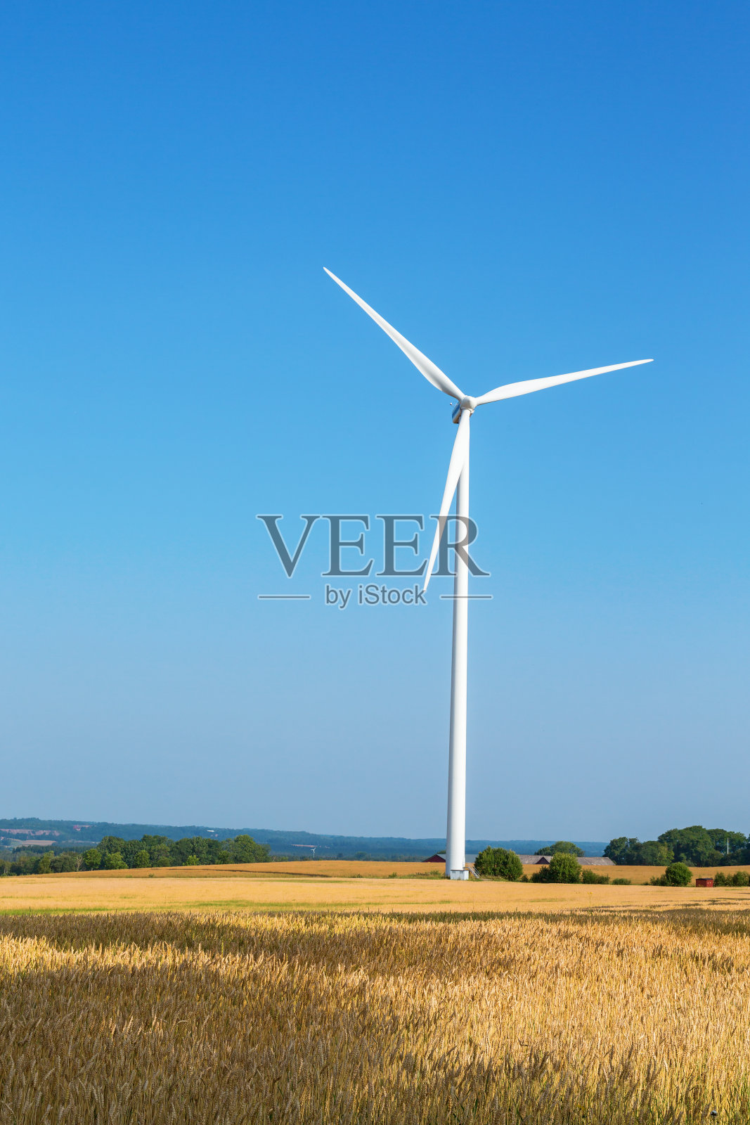 乡村风景中的玉米地里的风力涡轮机照片摄影图片