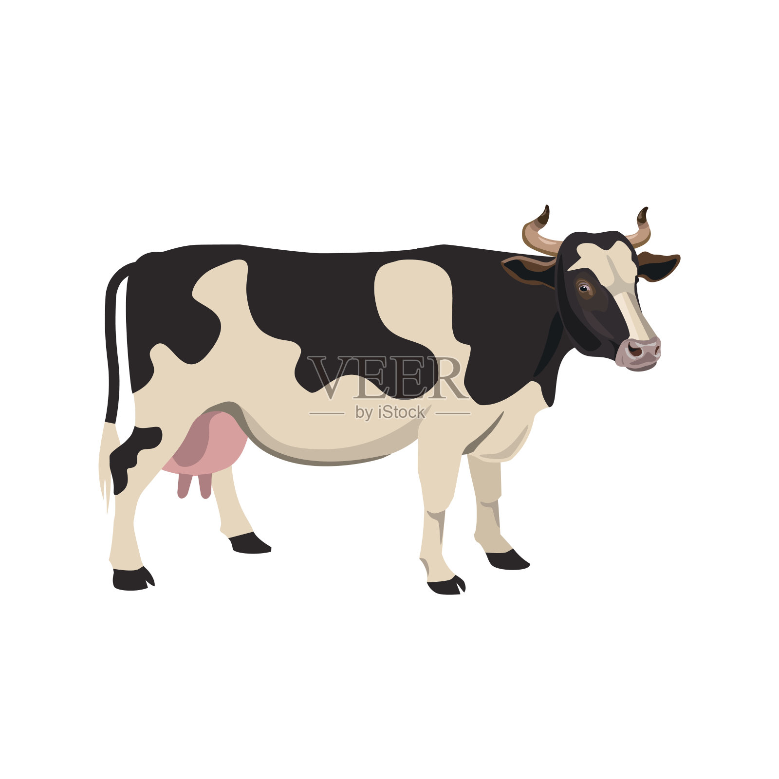 发现牛向量插画图片素材