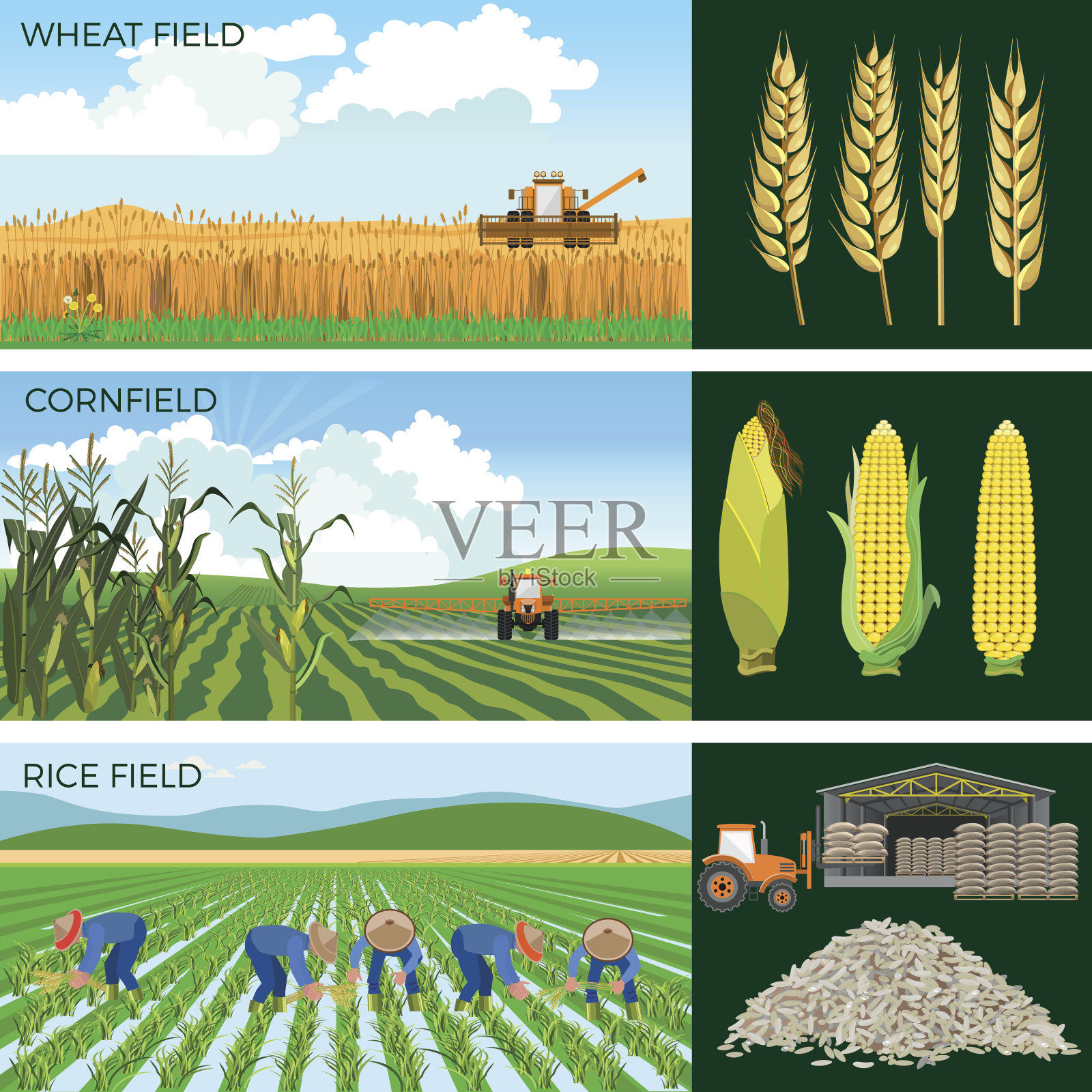 农田套农业。插画图片素材