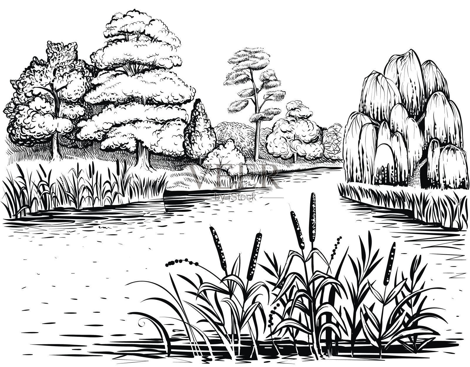 河流矢量景观与树木和水植物，手绘插图。设计元素图片