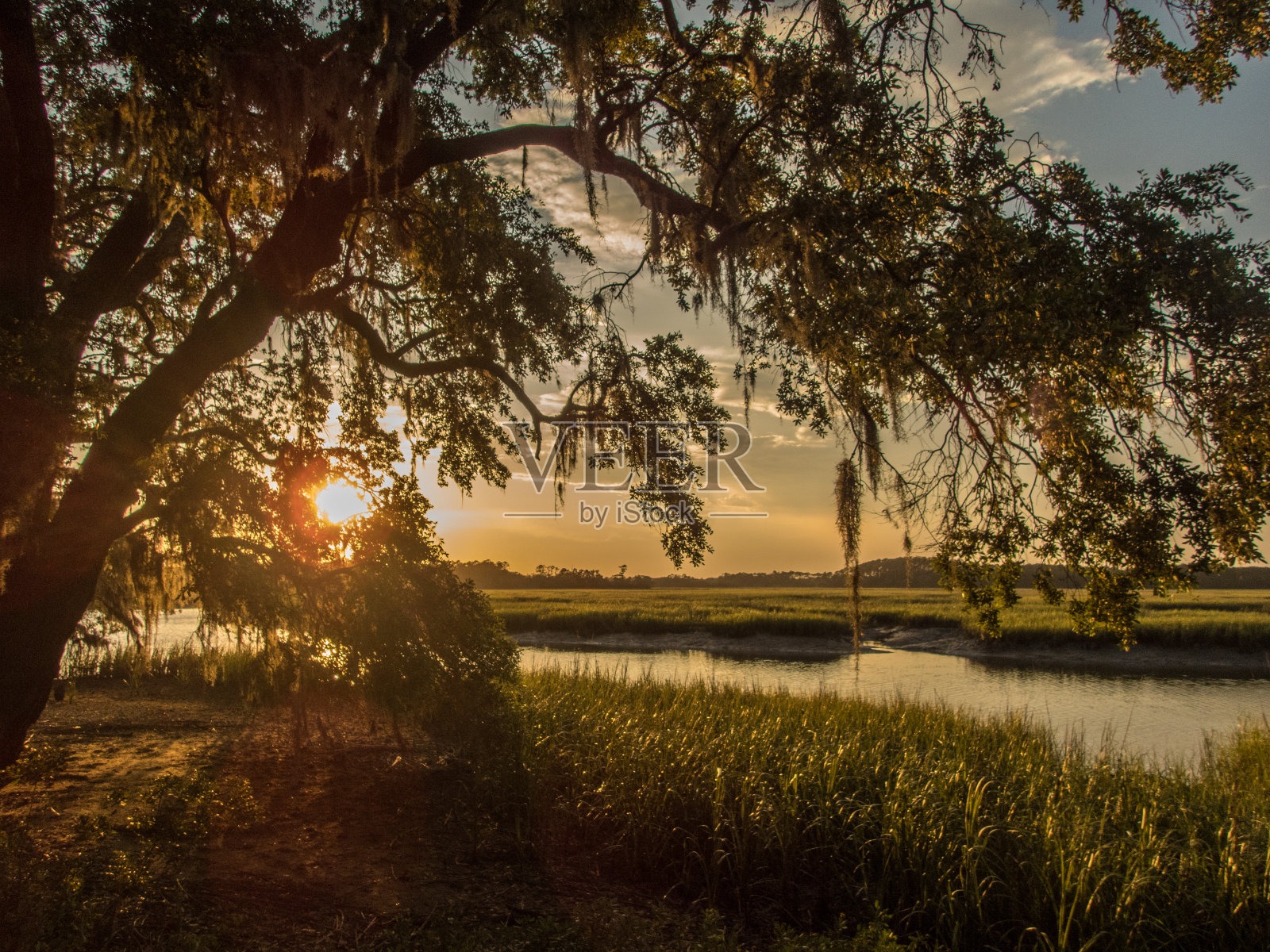美丽的日落在南部沼泽照片摄影图片