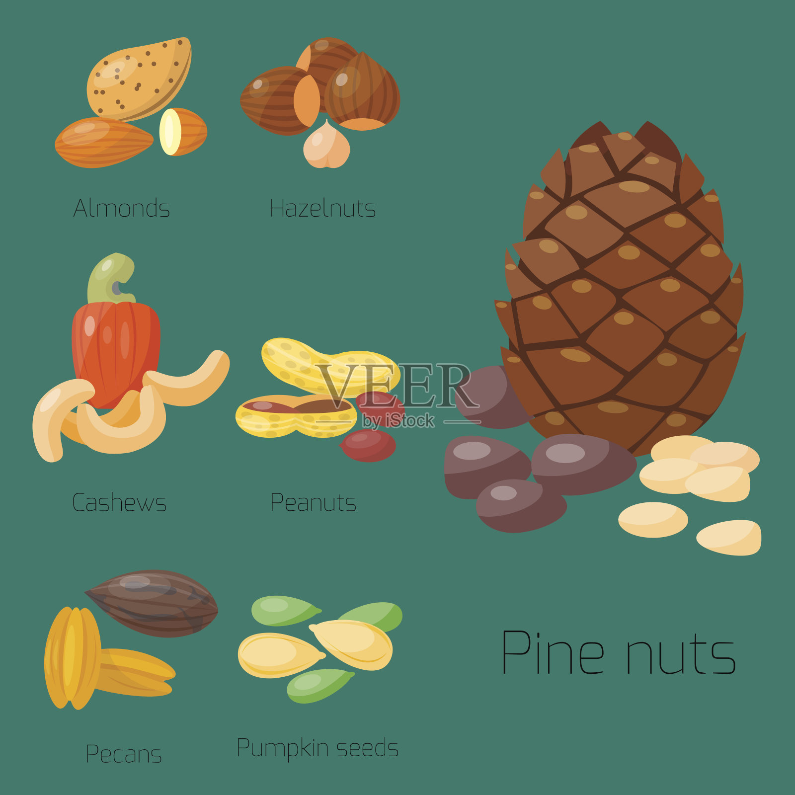 成堆不同的坚果，榛子，杏仁，花生，核桃，腰果，美味的种子矢量插图插画图片素材