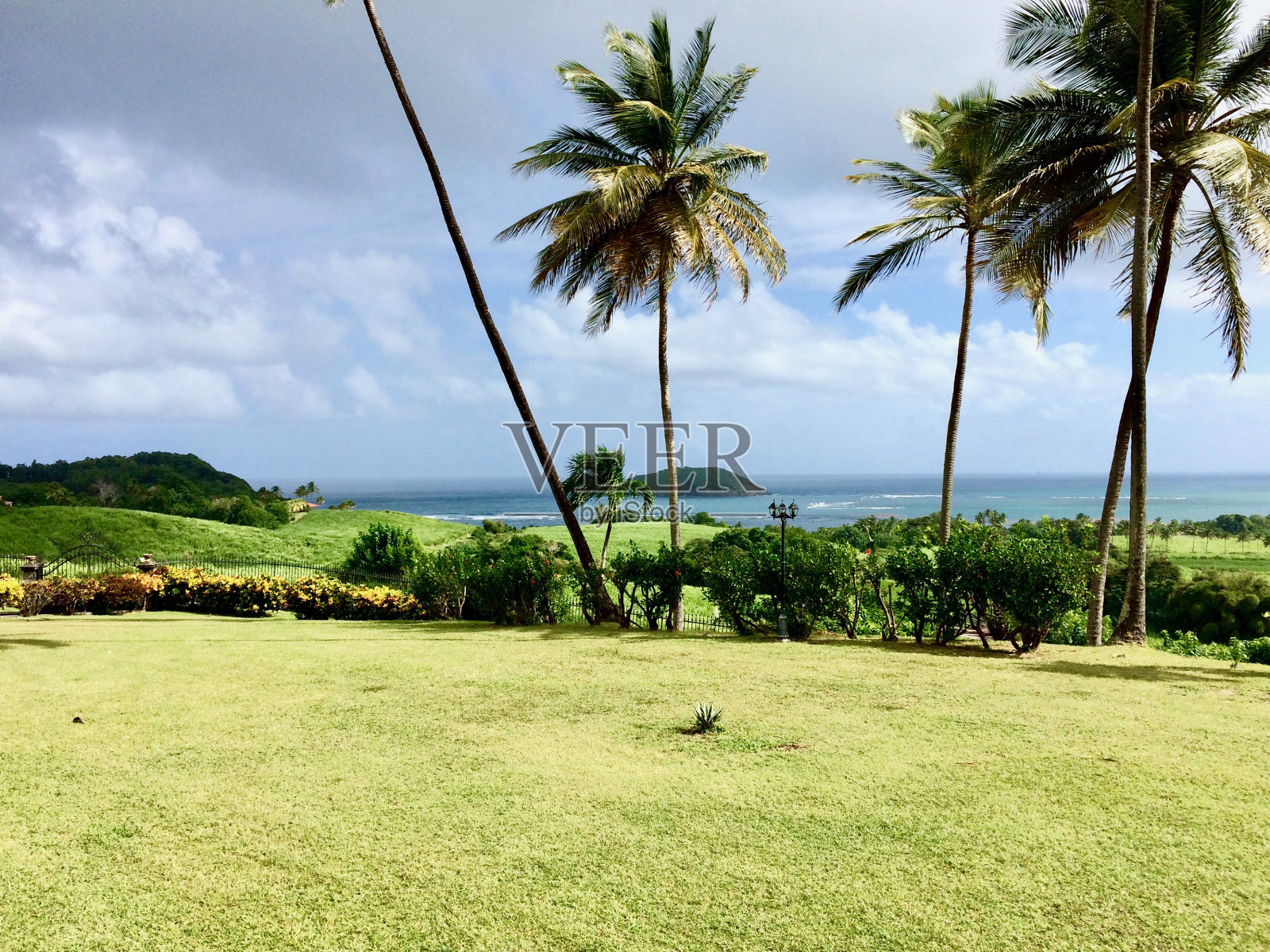 这是加勒比海马提尼克岛圣玛丽岛美丽的一天:碧绿的草坪，椰子树，阳光，蓝天白云，背景是海洋照片摄影图片