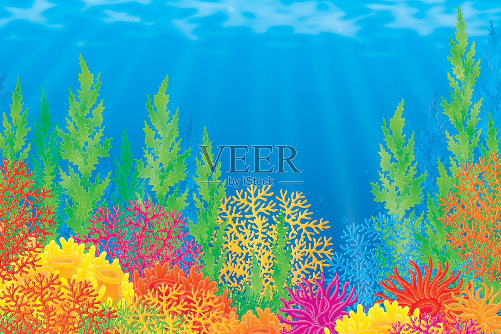 珊瑚礁插画图片素材