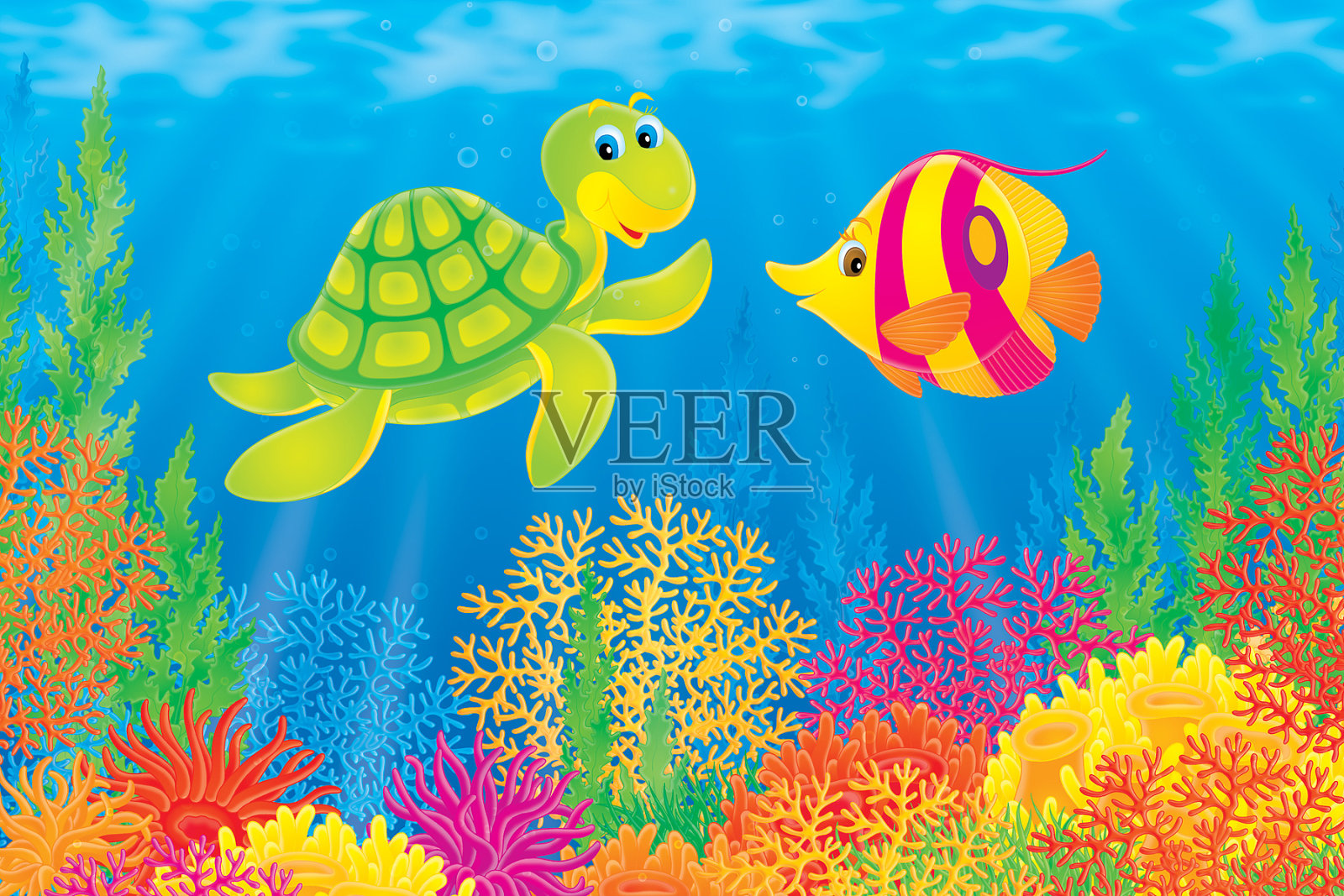 珊瑚鱼及海龟插画图片素材