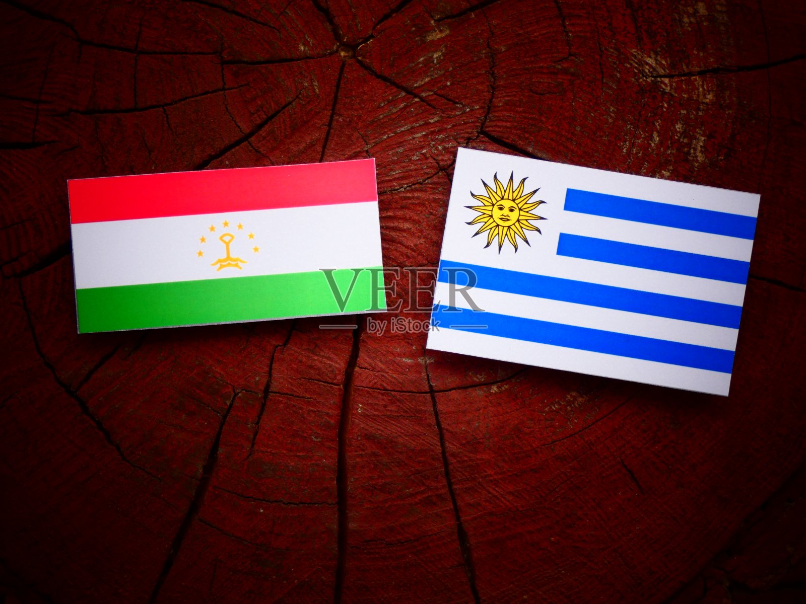孤立的树桩上悬挂着塔吉克斯坦国旗和乌拉圭国旗照片摄影图片