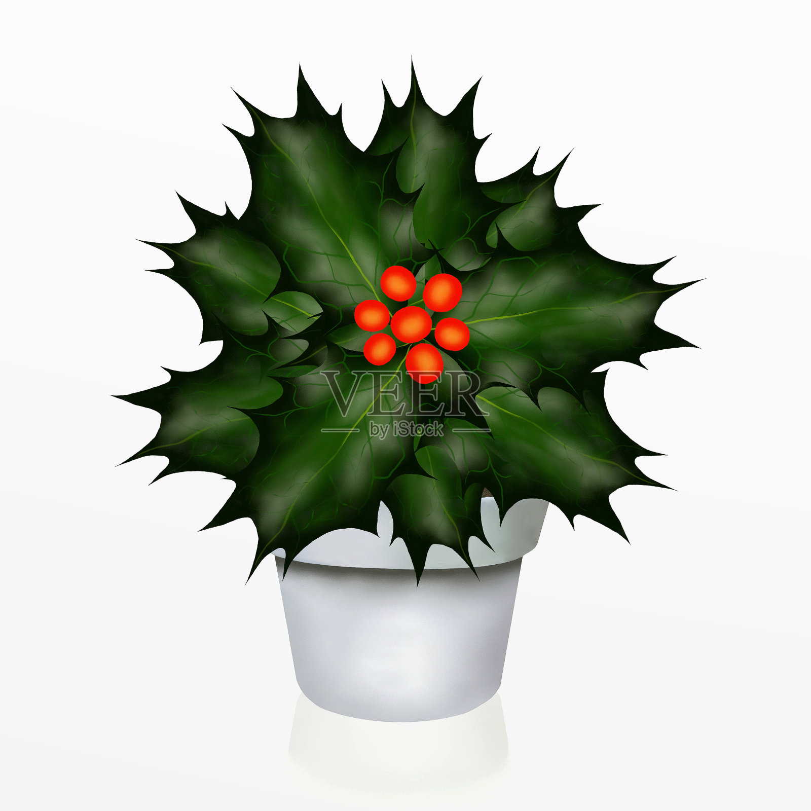 圣诞冬青树在白色的锅设计元素图片