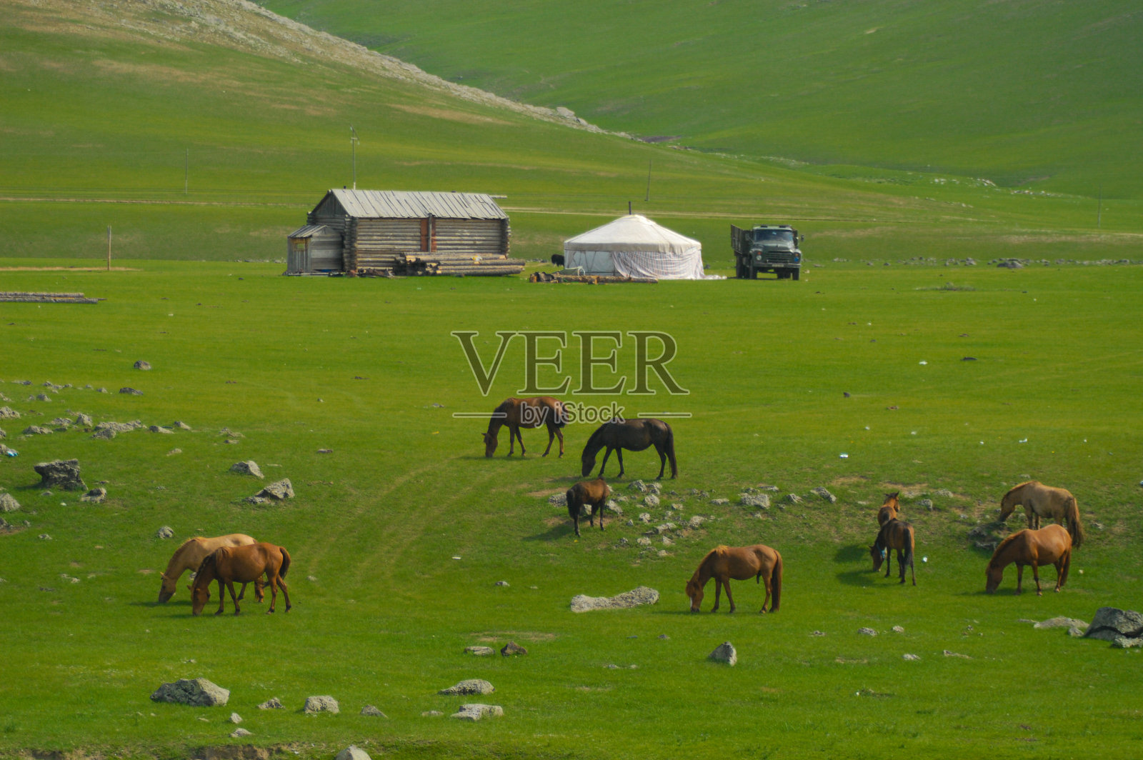 有马和蒙古包的蒙古景观照片摄影图片